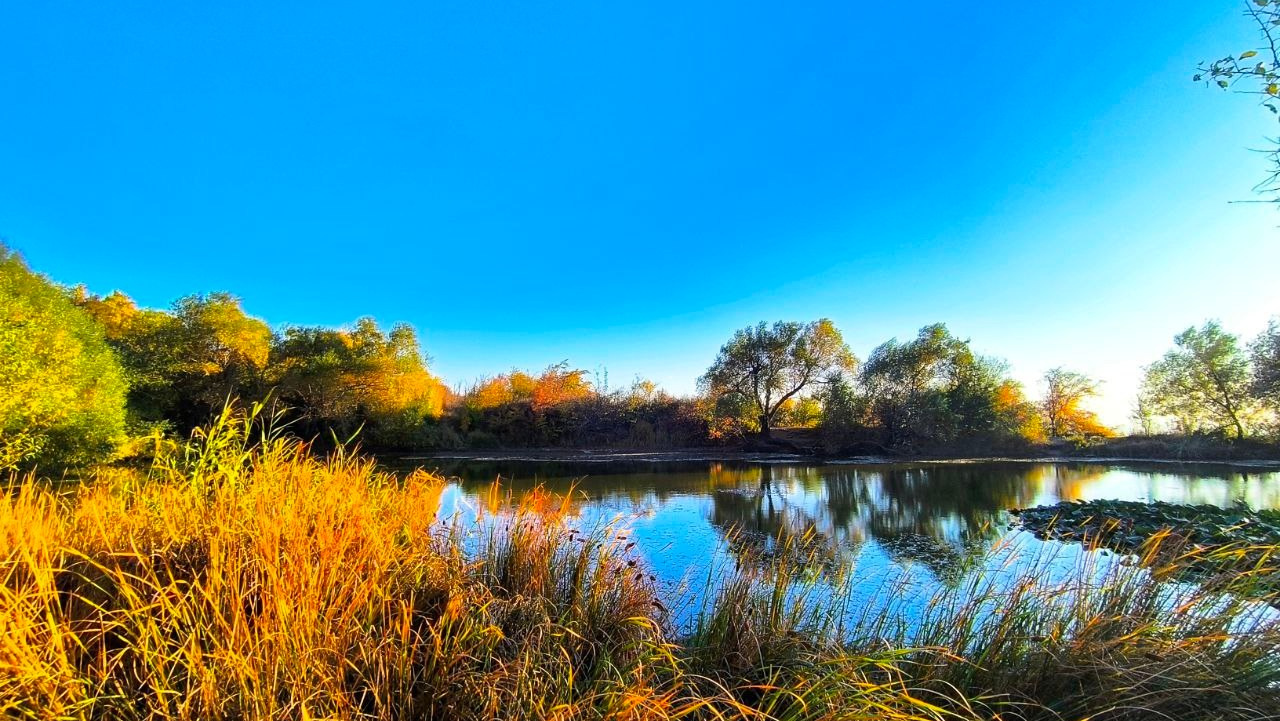 Фотосайт Андрея Прокопенко