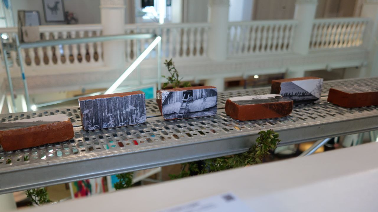 Красный слой (2025 — в процессе). Julia Gorbunova