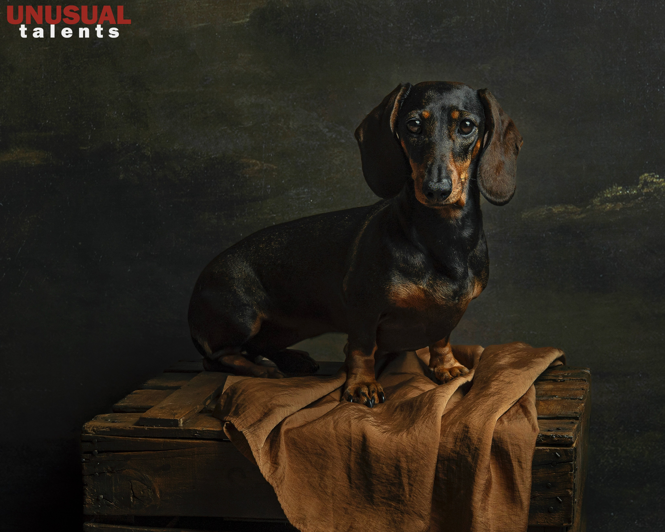 Diana Trillo. UNUSUAL TALENT magazine