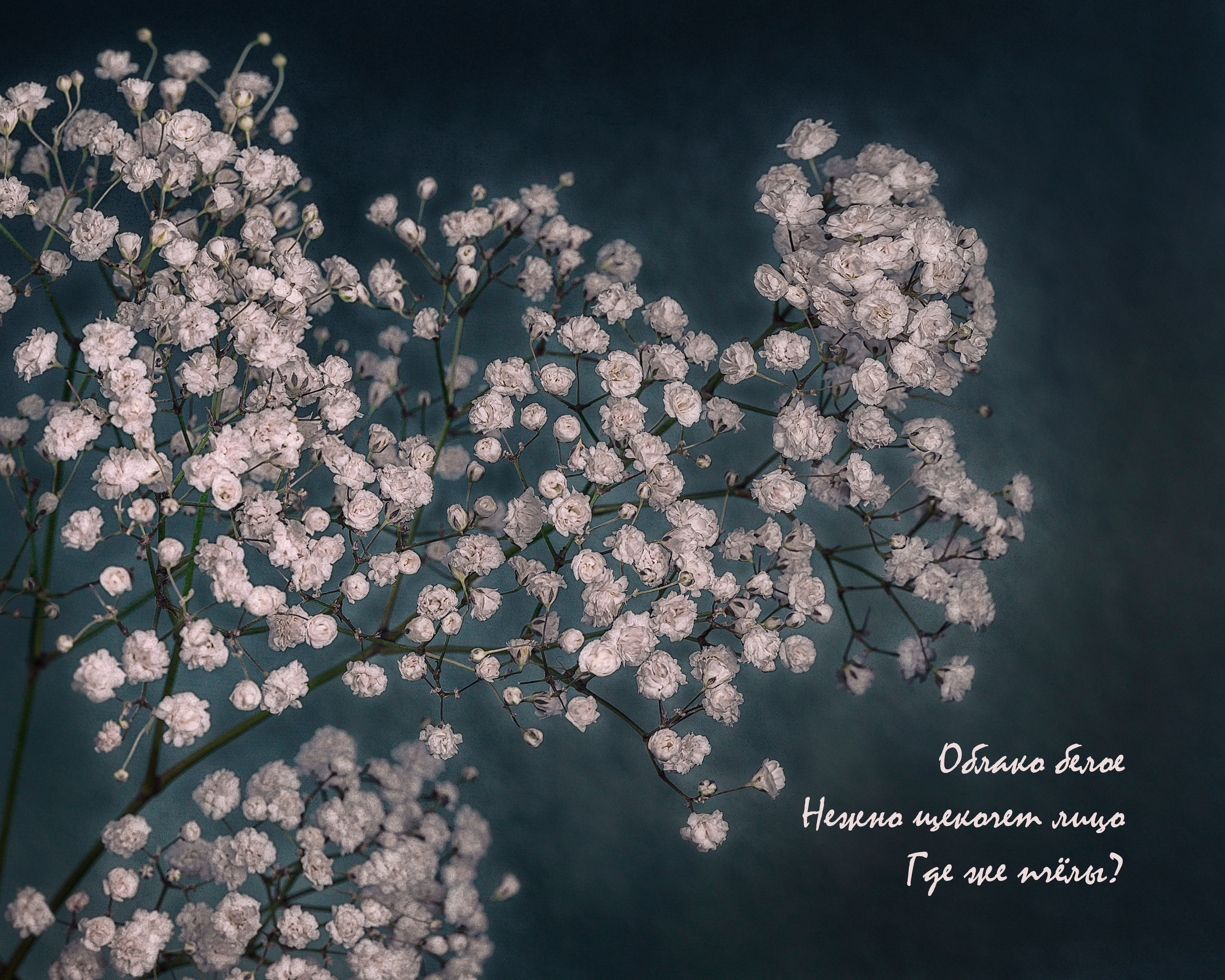 Фотопроект «Primavera». Портретный фотограф в Челябинске Катерина Руди