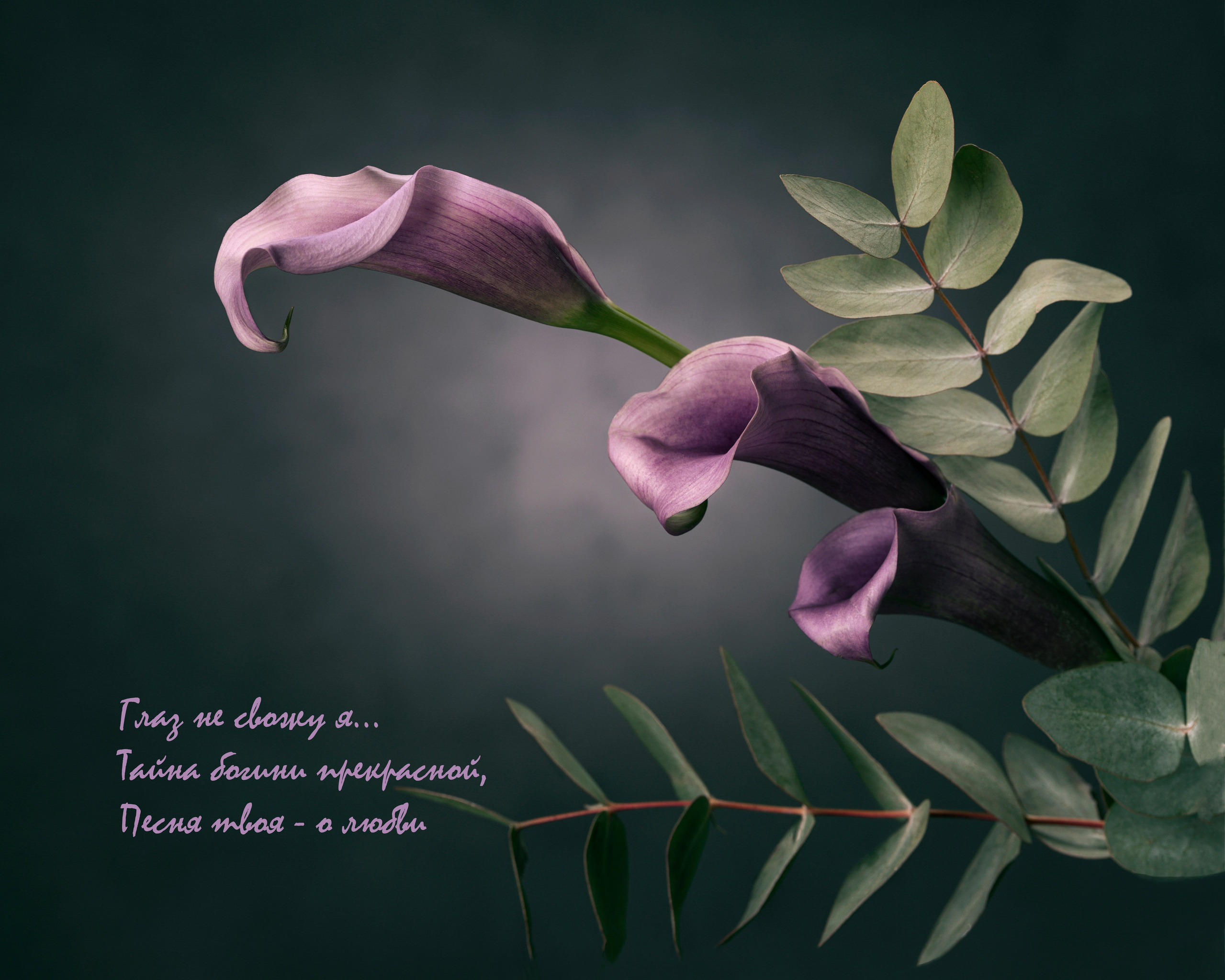 Фотопроект «Primavera». Портретный фотограф в Челябинске Катерина Руди