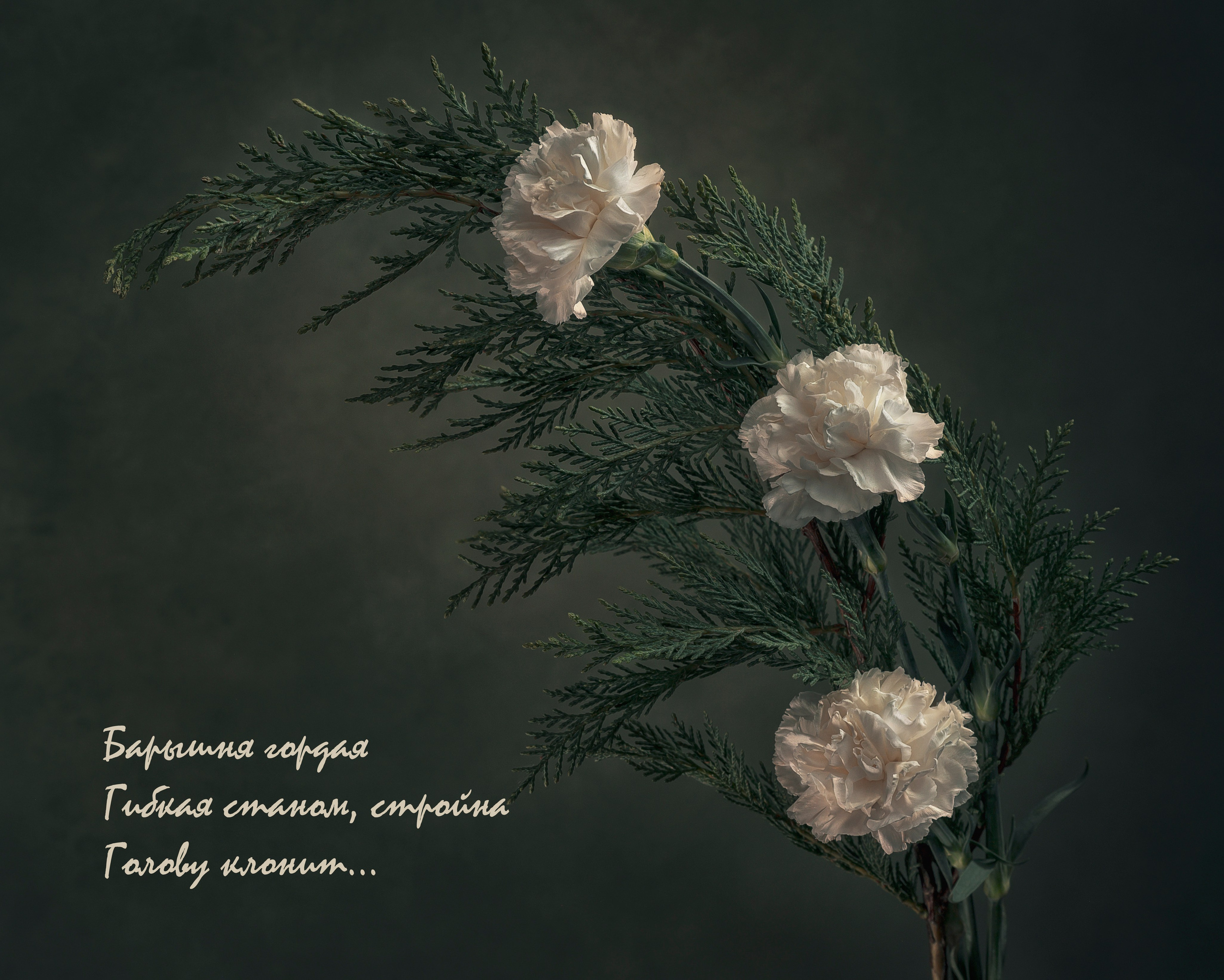 Фотопроект «Primavera». Портретный фотограф в Челябинске Катерина Руди