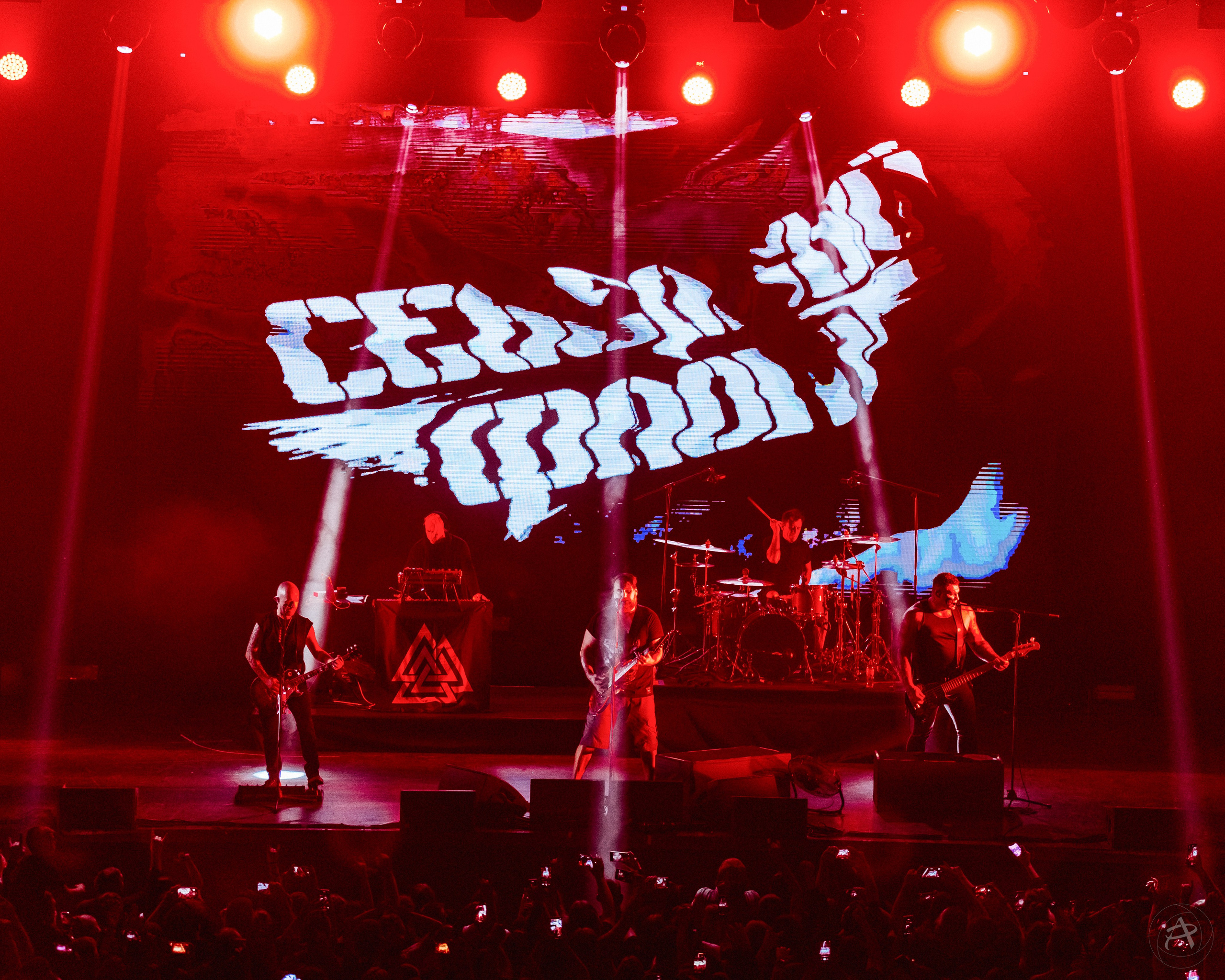 Концертный фотограф Аля Рашпиль