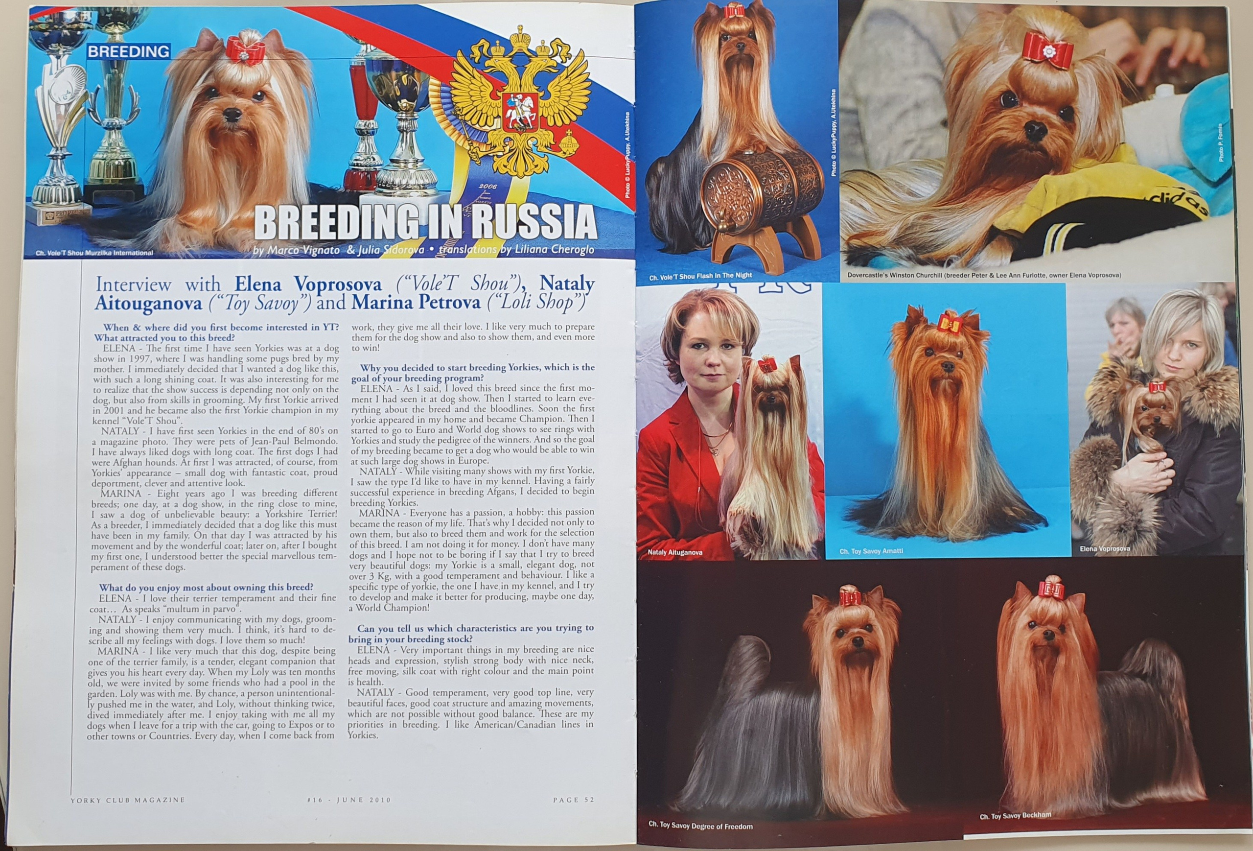 Йоркширский терьер. О нас. Питомник Воле'Т Шоу Vole'T Shou. Йоркширский терьер — питомник йоркширских терьеров Vole'T Shou