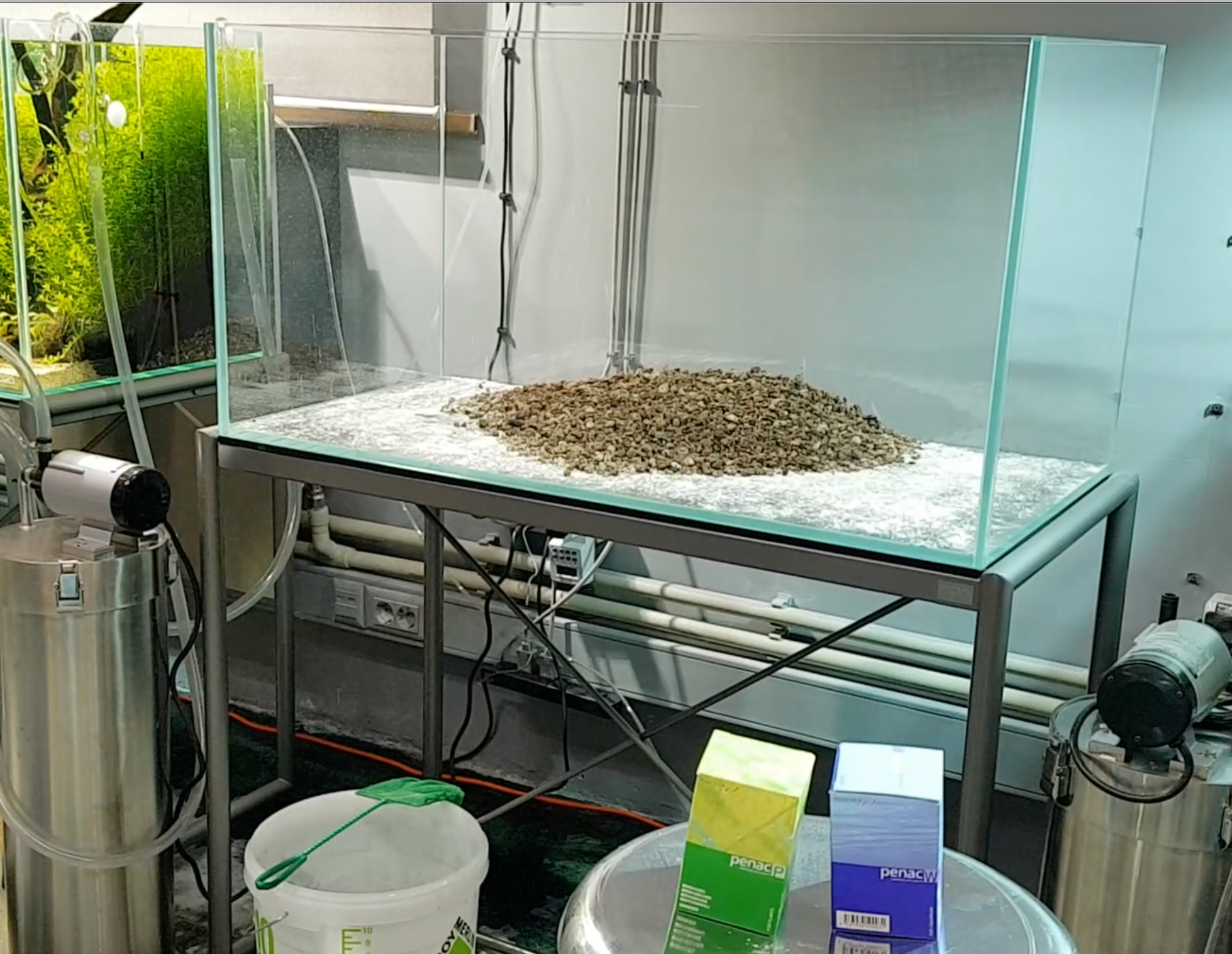 Оформление аквариума. Home