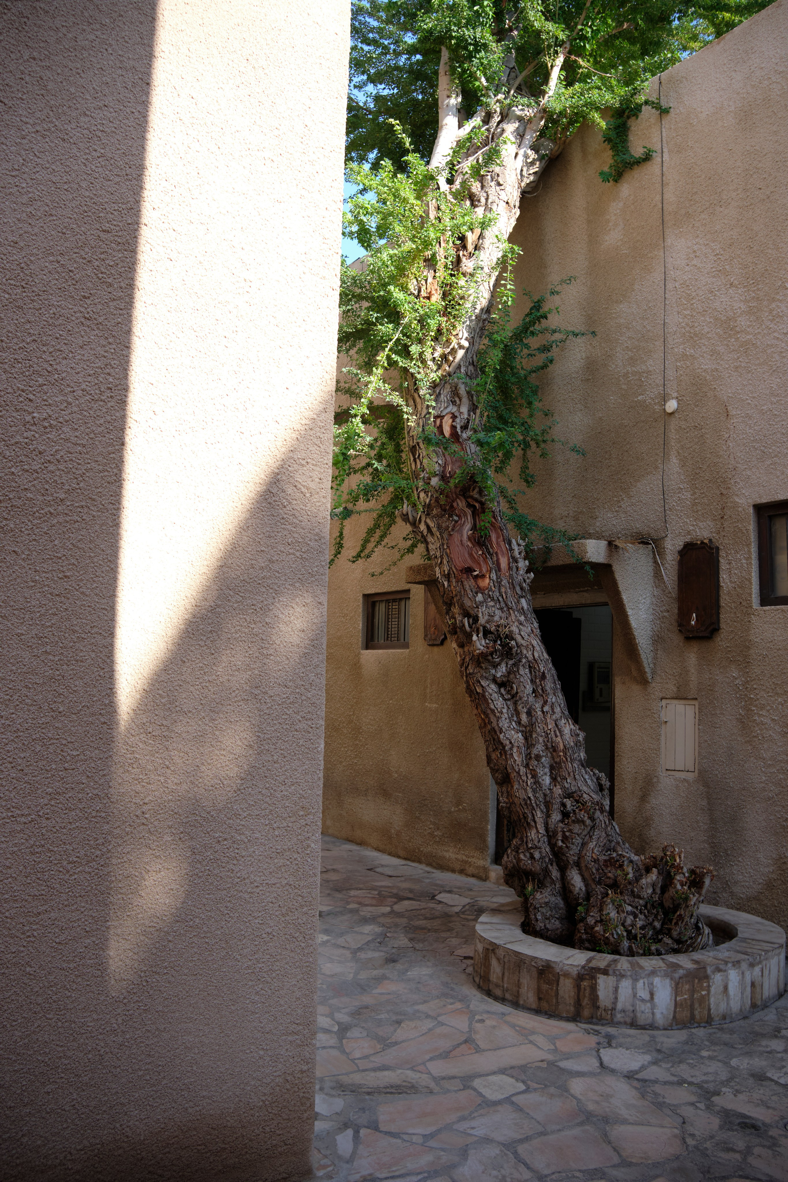 Дубай. Елена Павленко. Фотограф. Москва