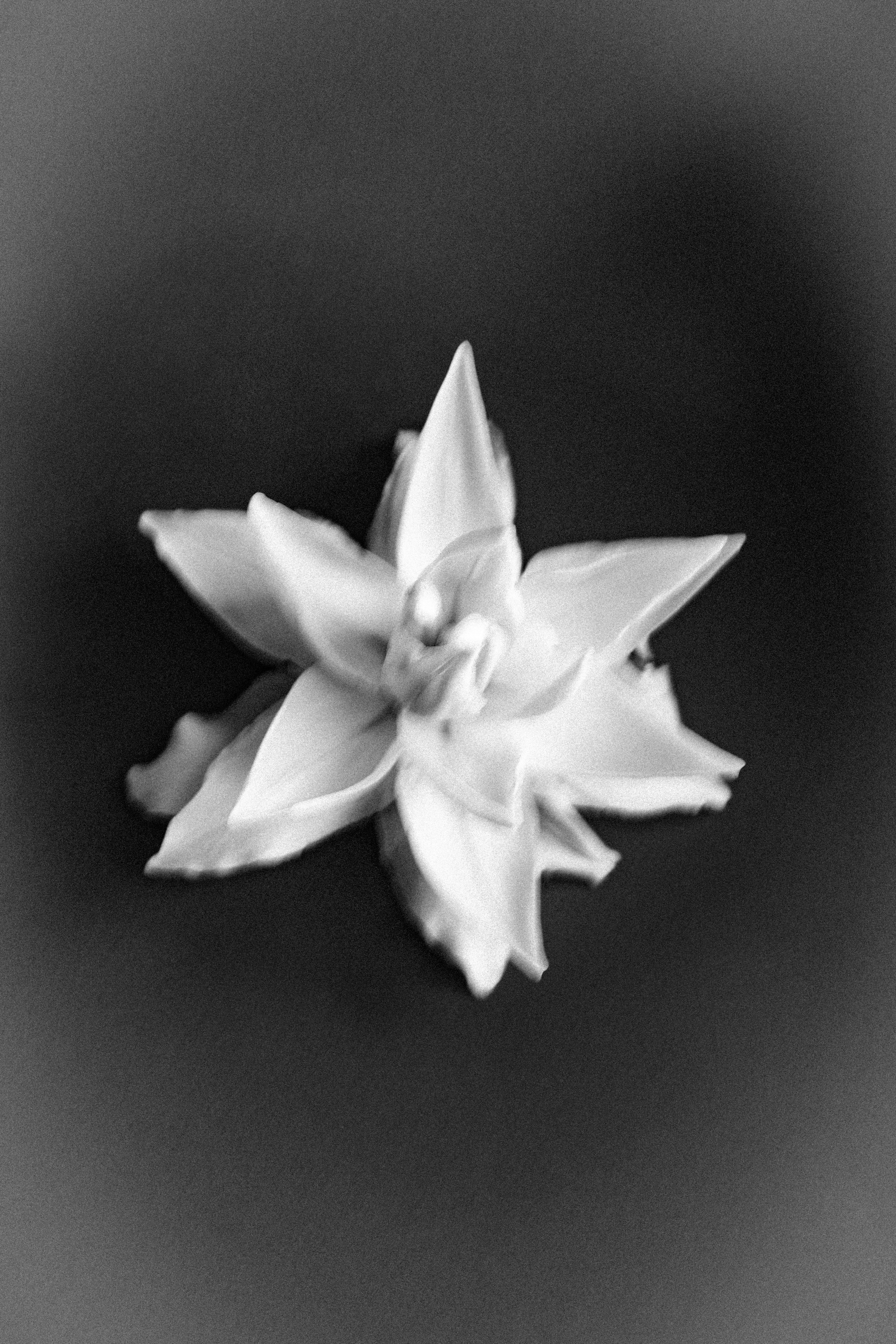 Фотограф Ольга Малыгина