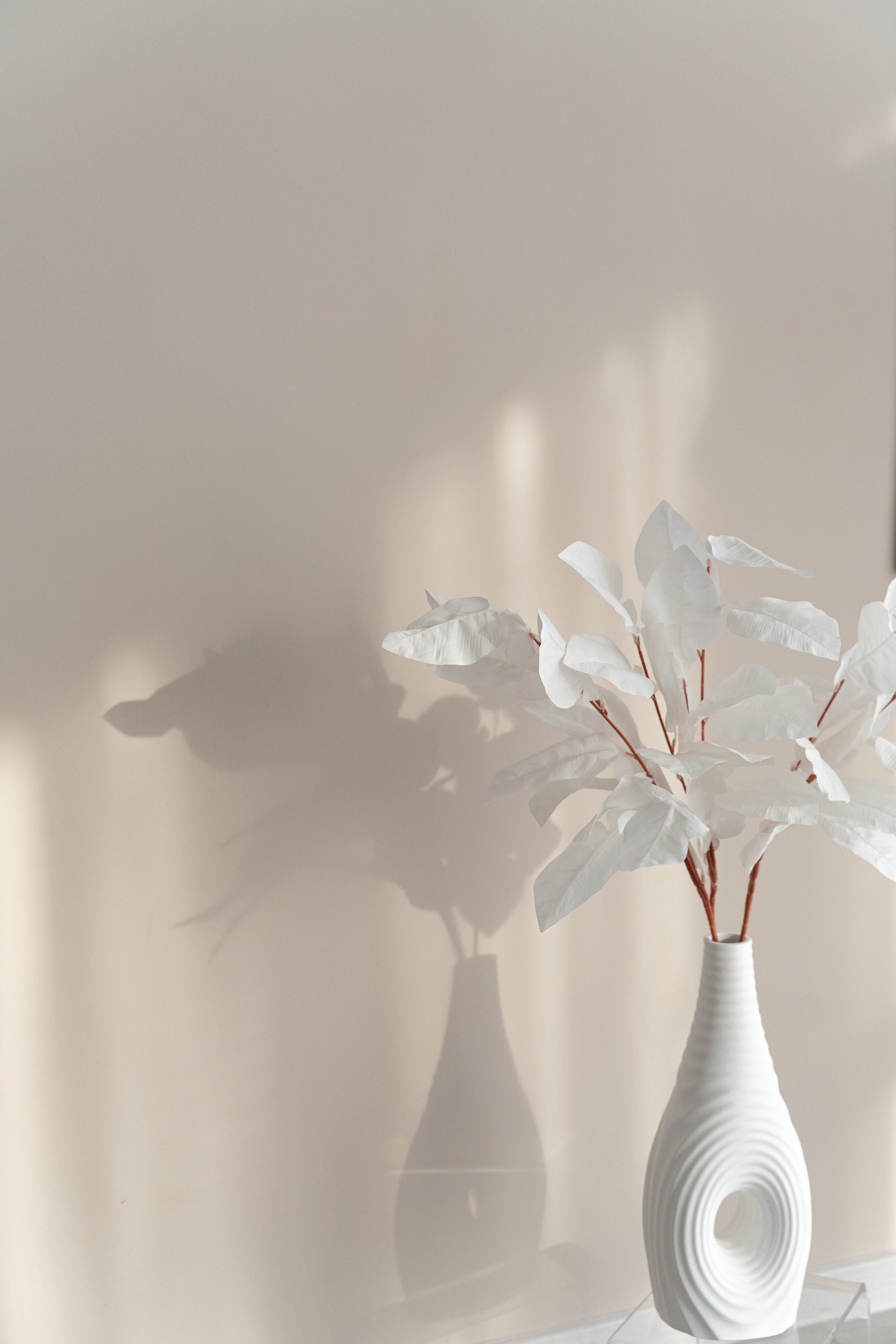 Свадебный и семейный фотограф в Омске Белозерова Александра