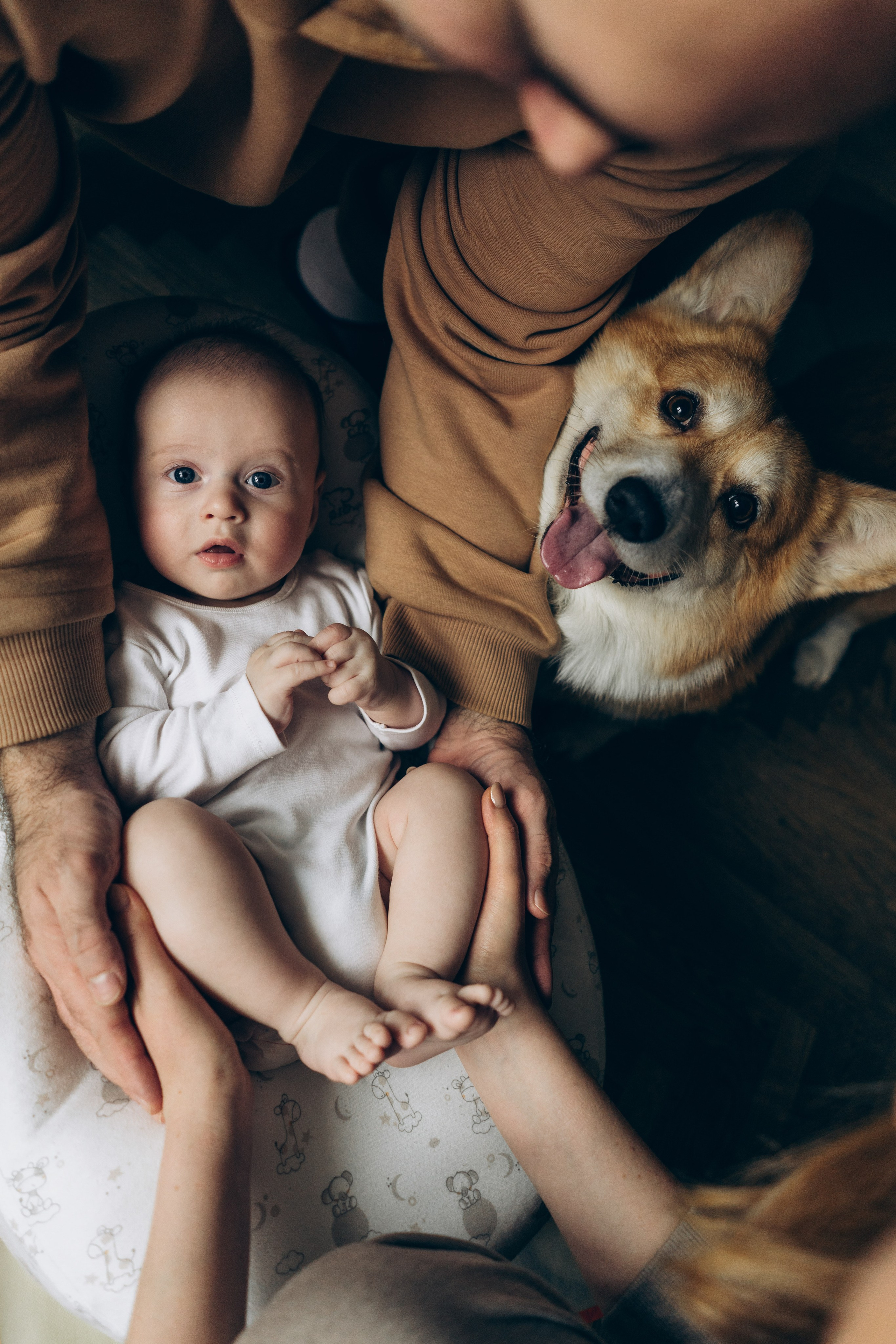 Цены. Свадебный фотограф в Москве Анна Полушина