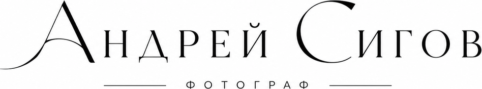 andreisigov.ru
