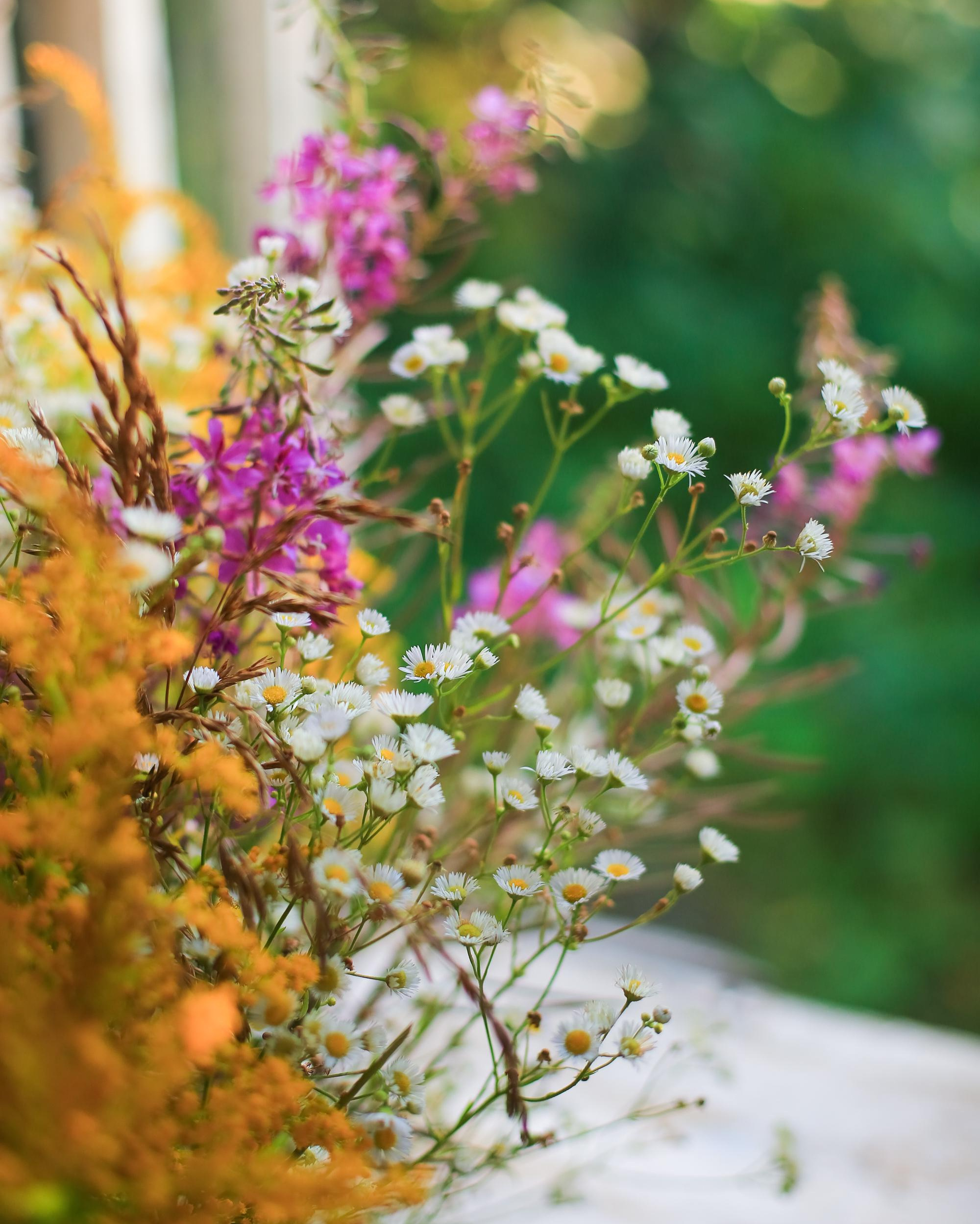 Семейная фотосессия, фотосессия в деревне, деревенский дом, чаепитие. Профессиональный фотограф, фотохудожник, видеограф из Москвы