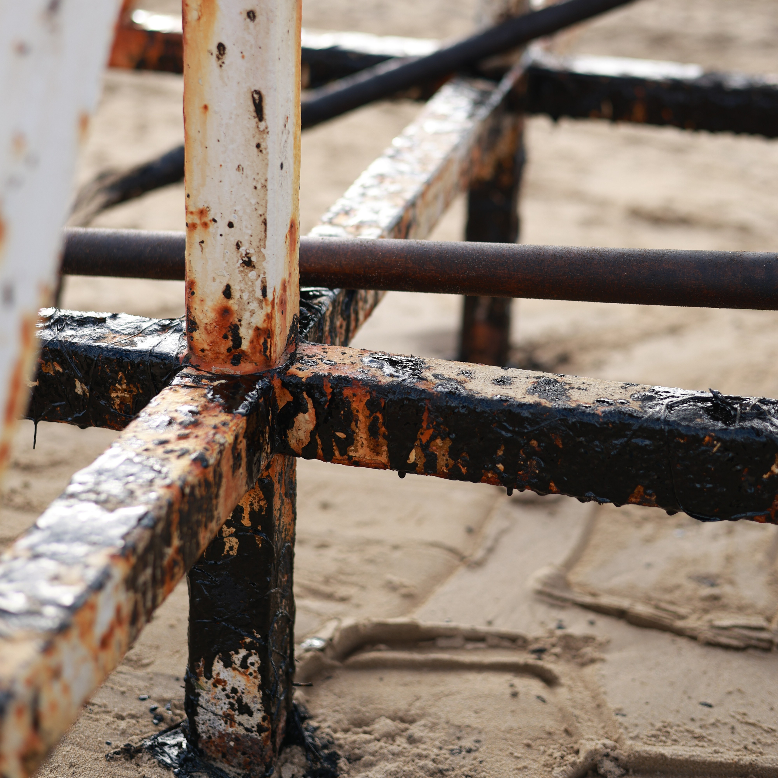 Фотовыставка «Черное море» | nasa loseva