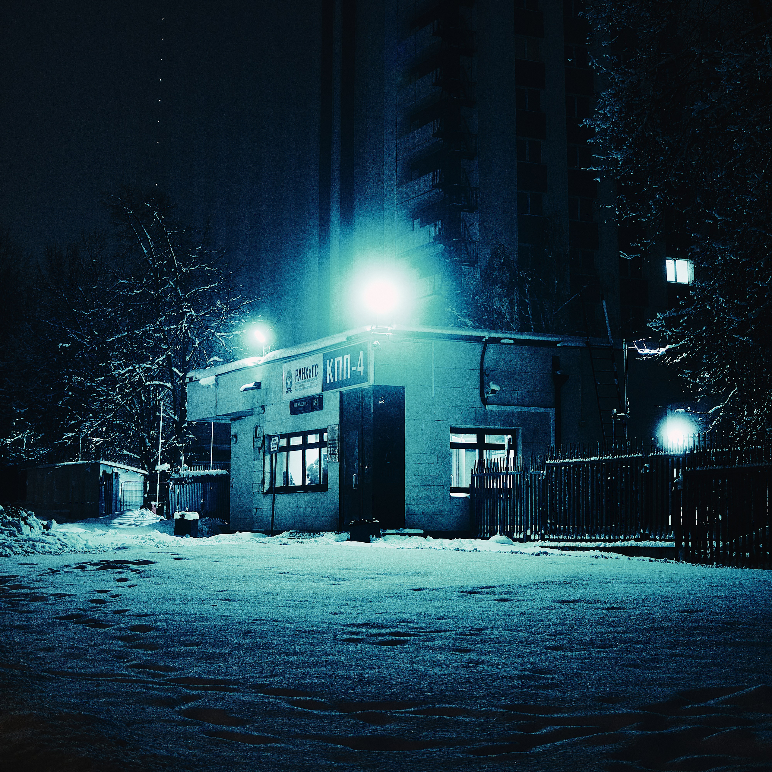 CITYSTETICA. Эльджан — Продюсер, Фотограф, El u Del