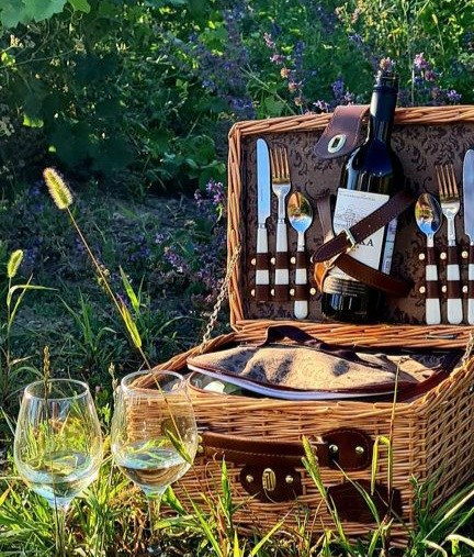 Программа «Три маршрута из Геленджика»