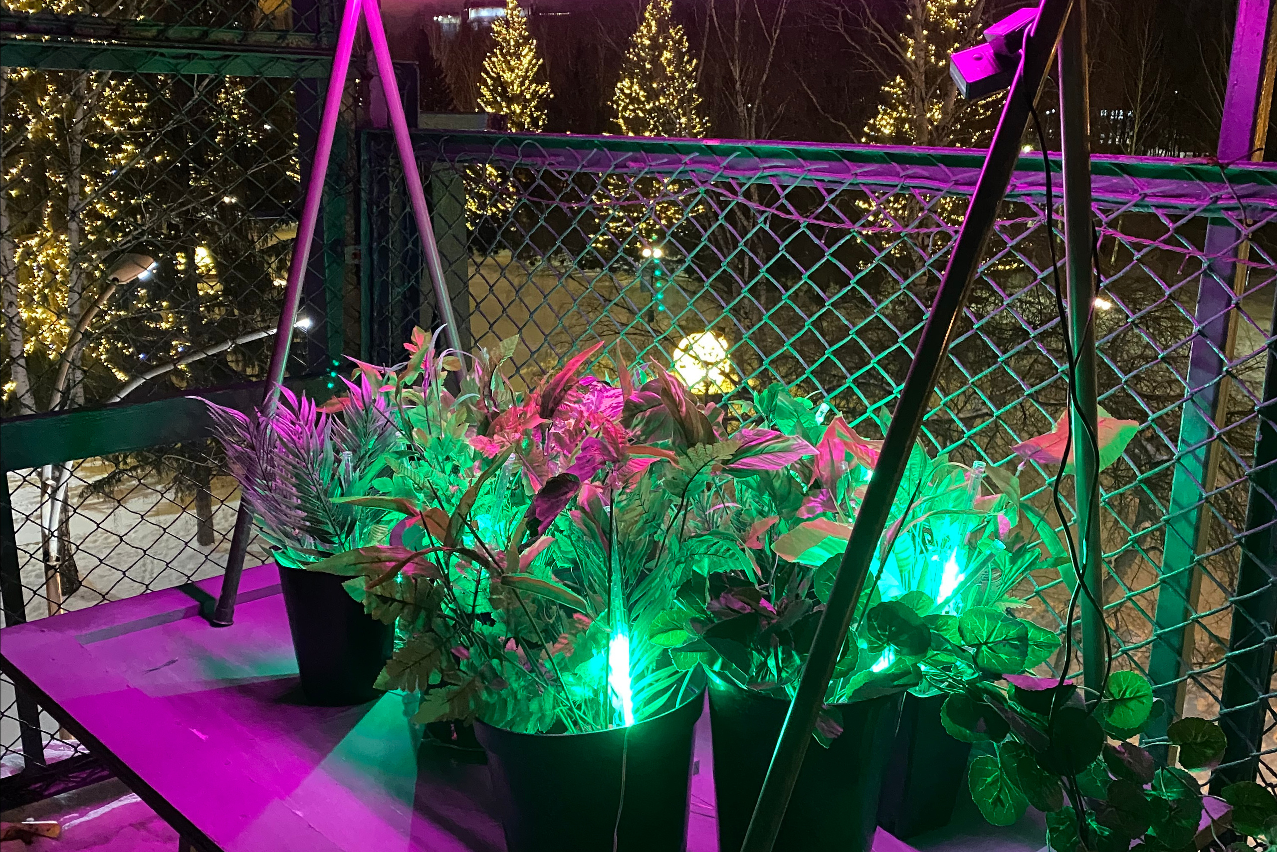 Group show projects. Artist Anna Snegina Художница Анна Снегина