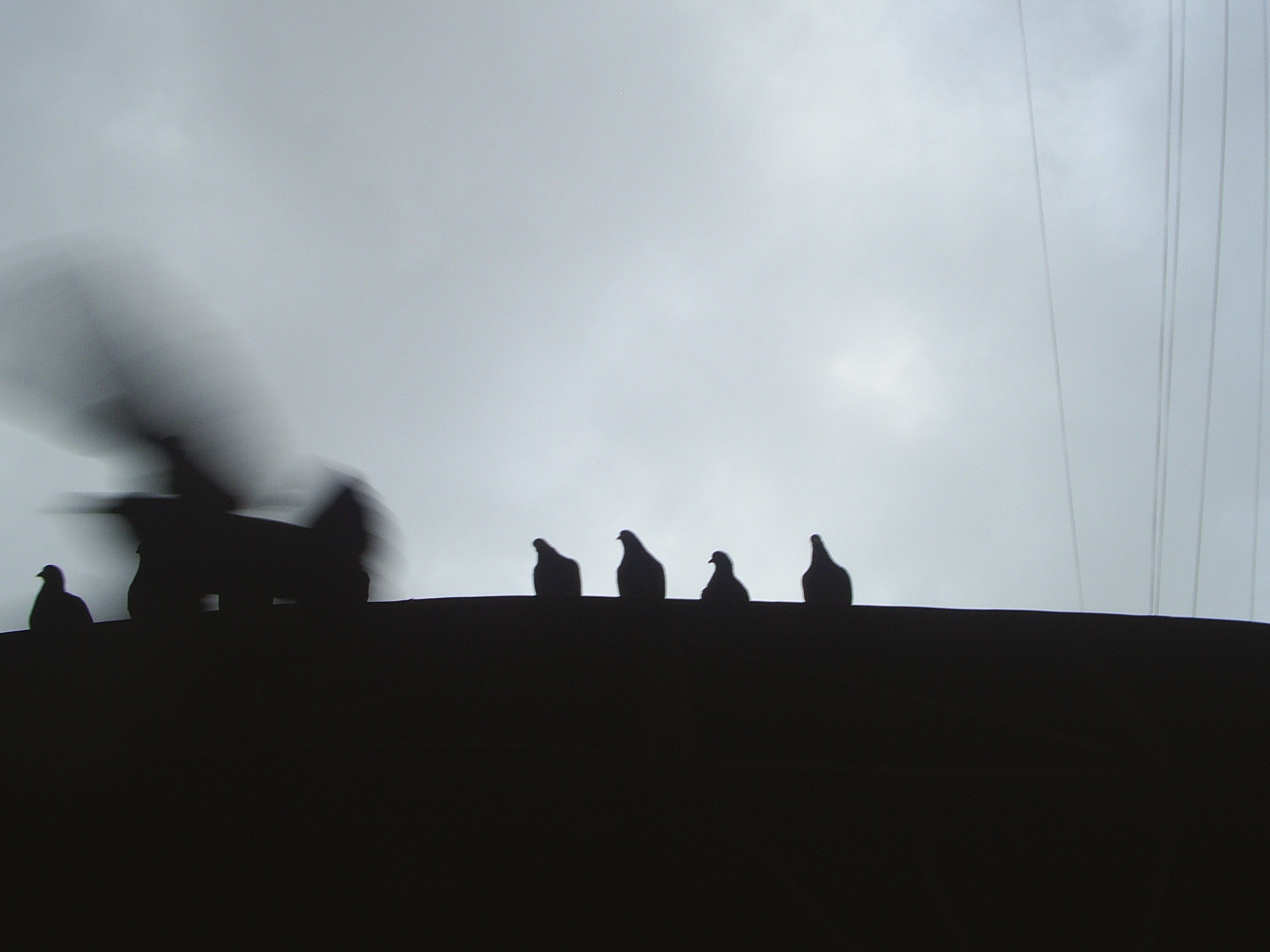 Мои 2000е. Mashoolyaa: художник, фотограф, Санкт-Петербург, Волгоград, Мир