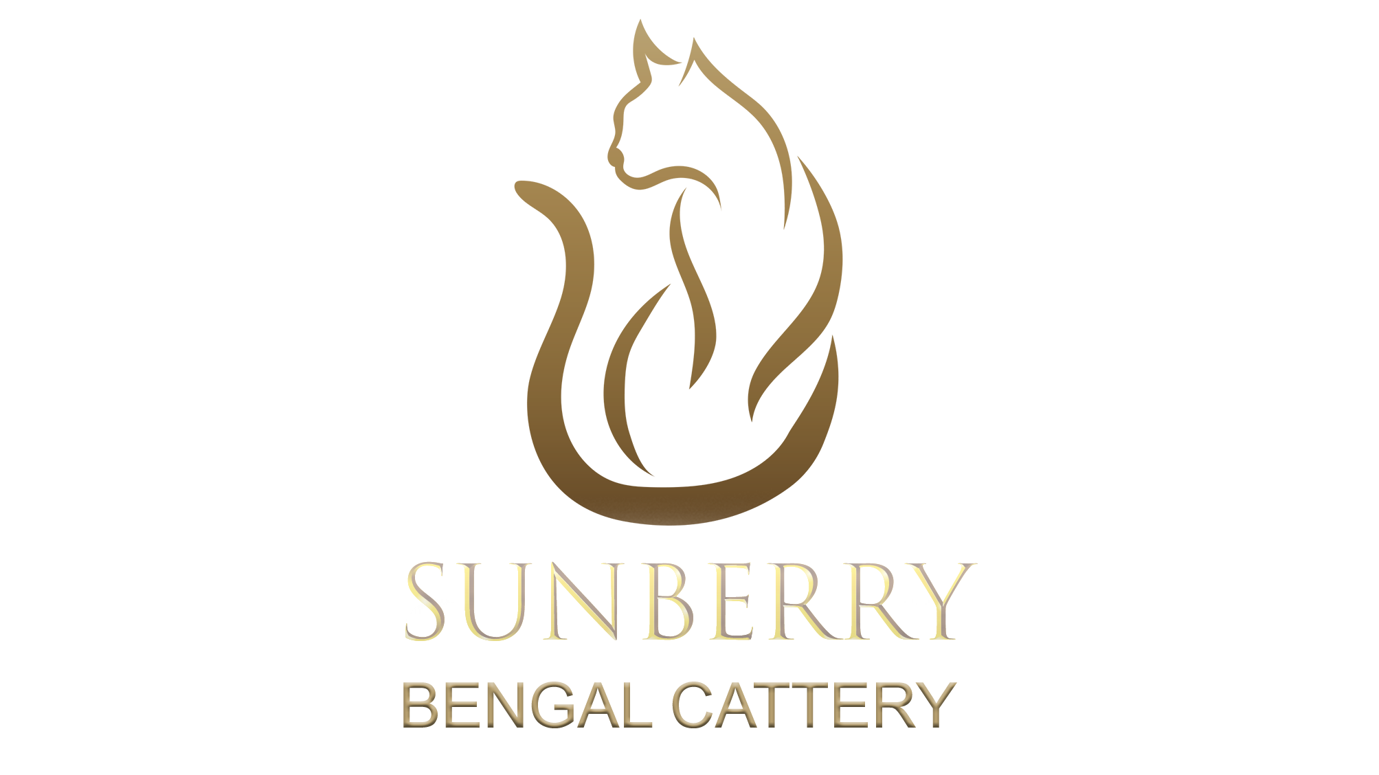 WCF Питомник бенгальских кошек, Чистокровные бенгальские котята 