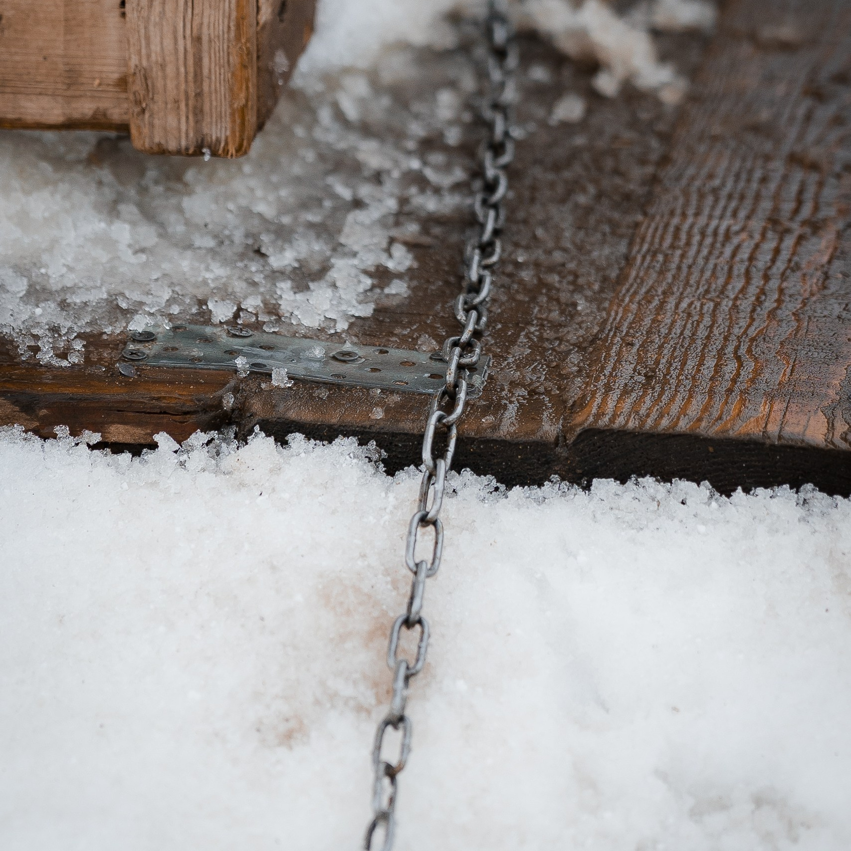 Помощь. Улыбка собаки — спасение и пристройство бездомных собак
