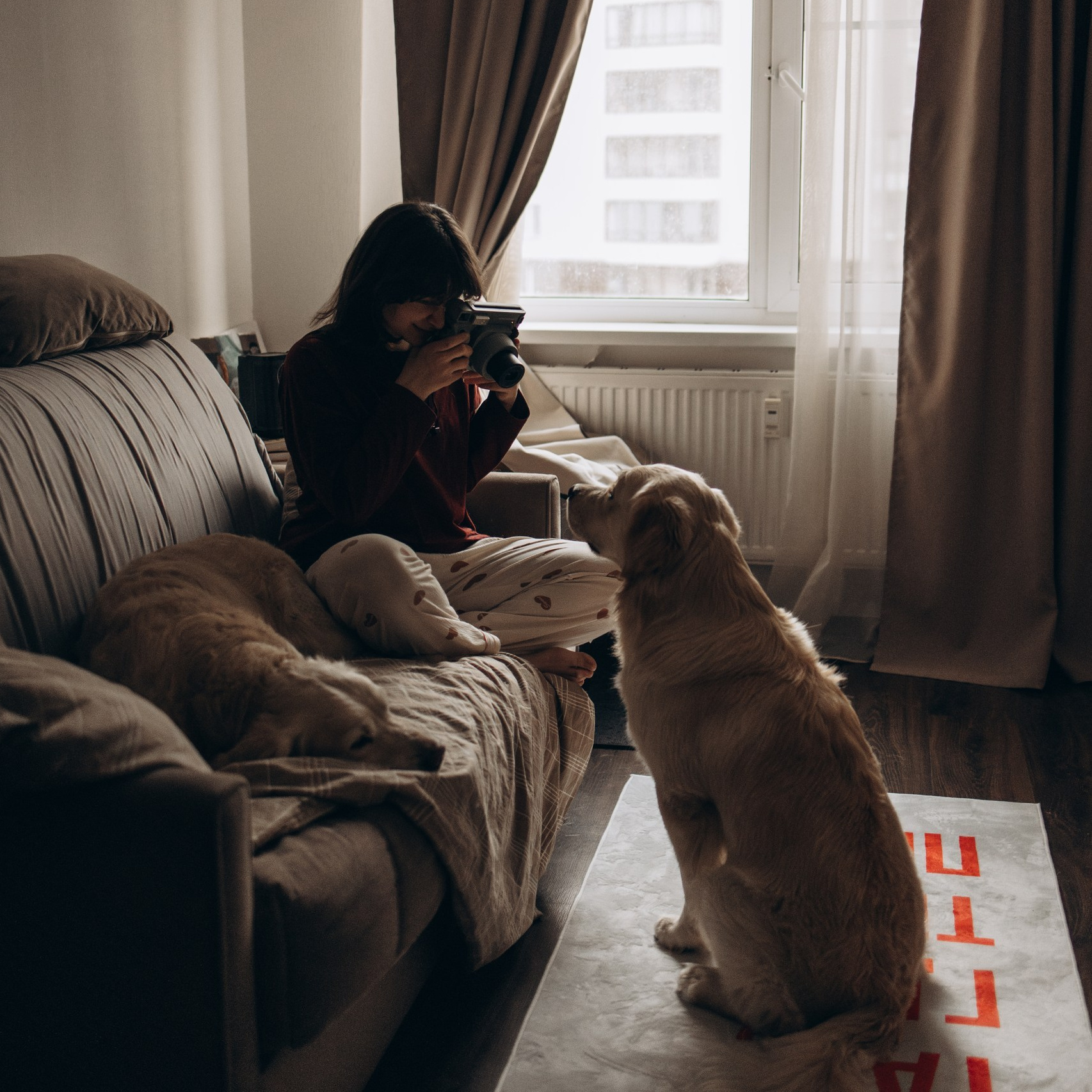 Фотограф — Анималист | Санкт-Петербург