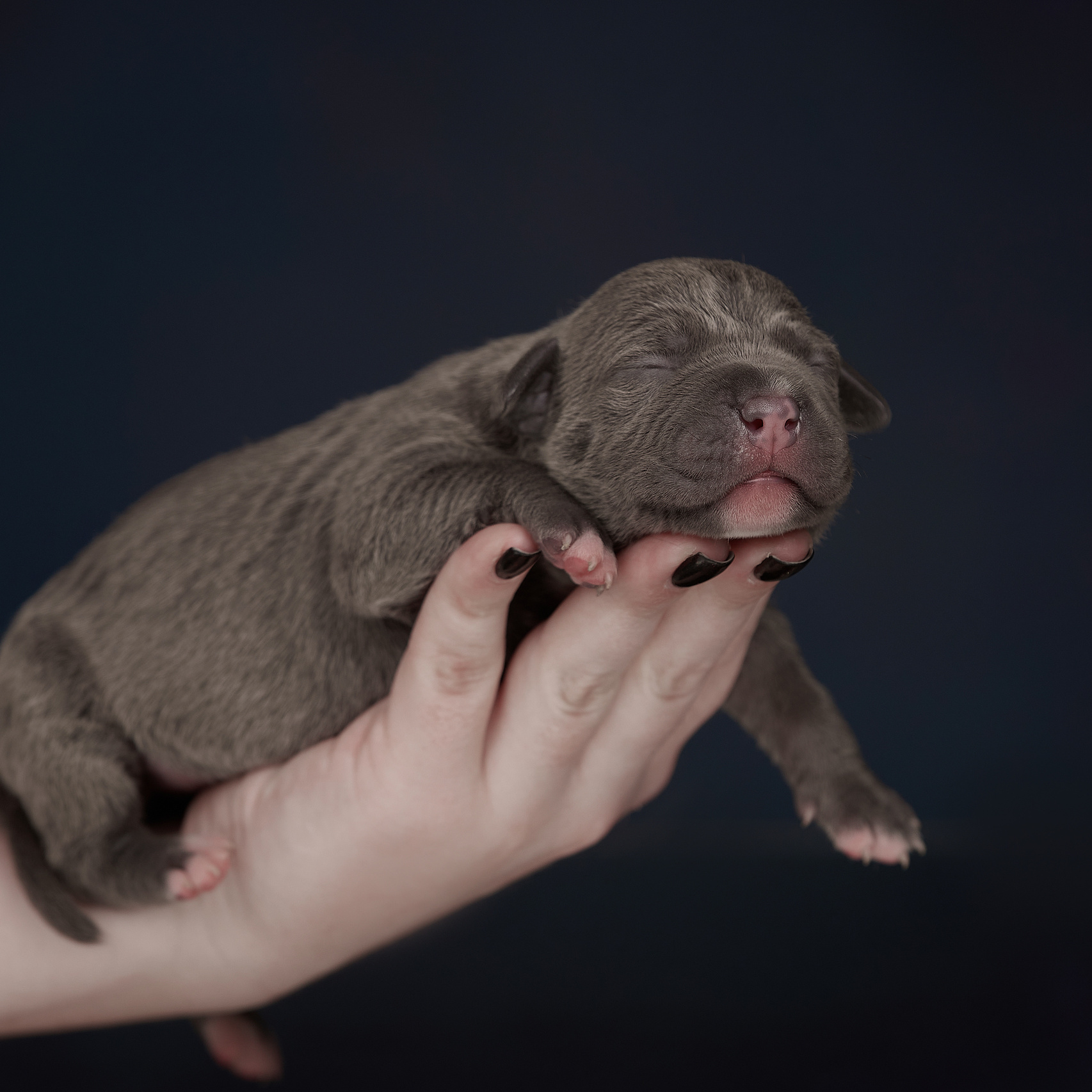 В каком возрасте фотографировать. ФОТОГРАФ-АНИМАЛИСТ l LANA POLYAKOVA