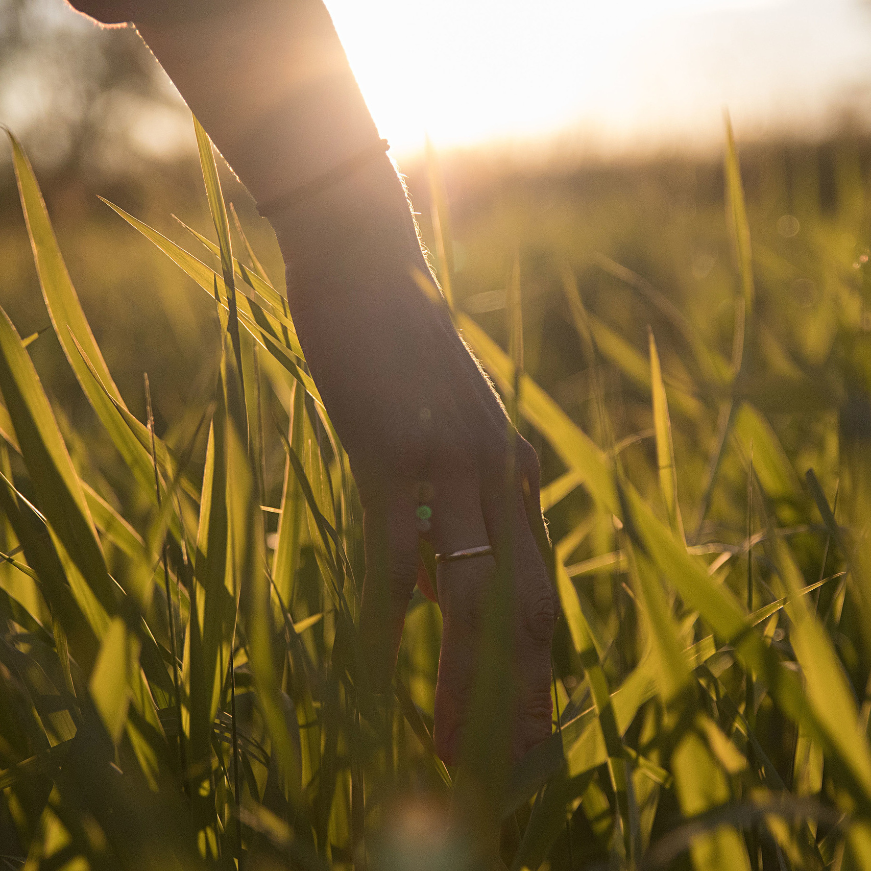 Контакты. Фотограф в Санкт-Петербурге/СПб Галямова Ульяна