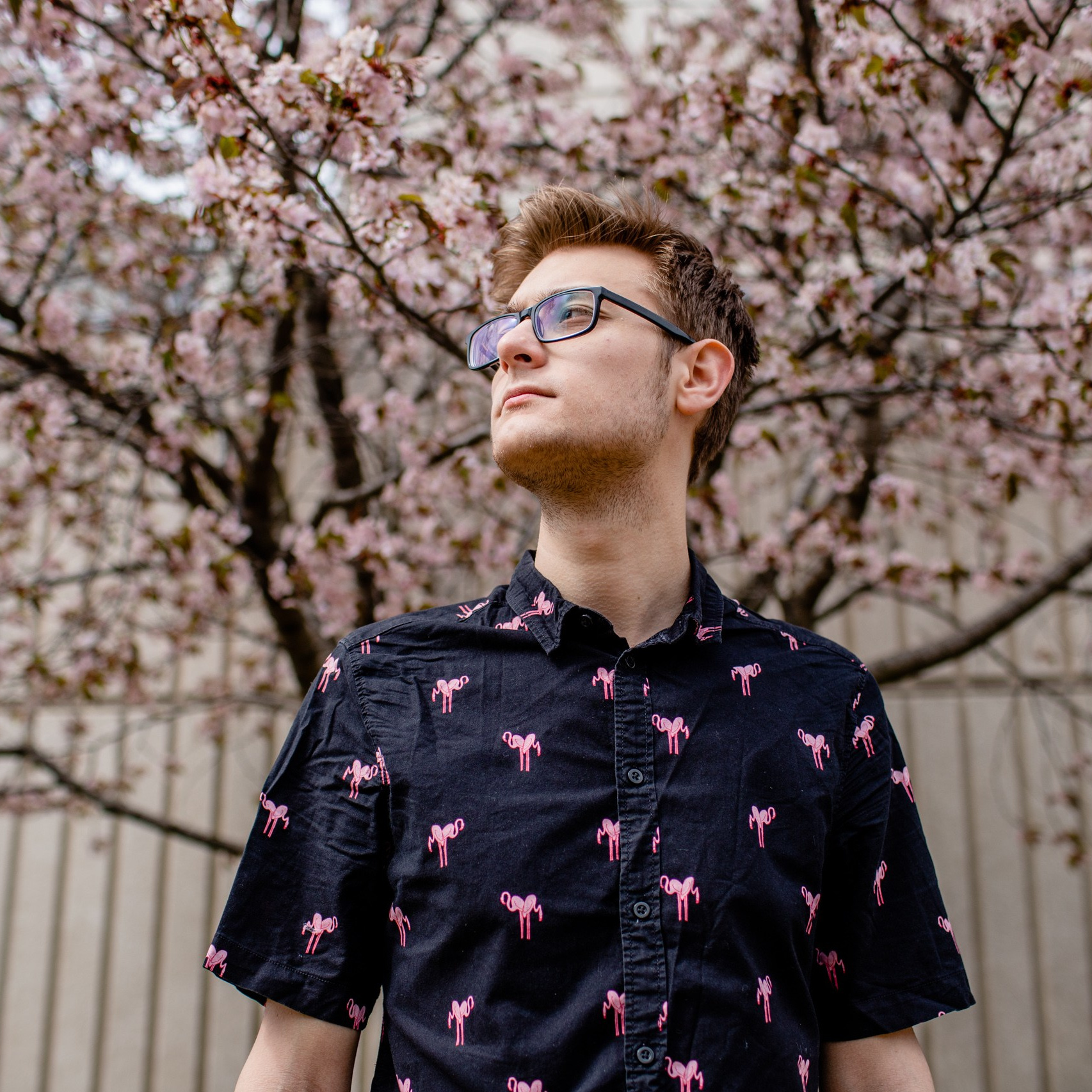 Услуги. Репортажный фотограф Грехов Илья