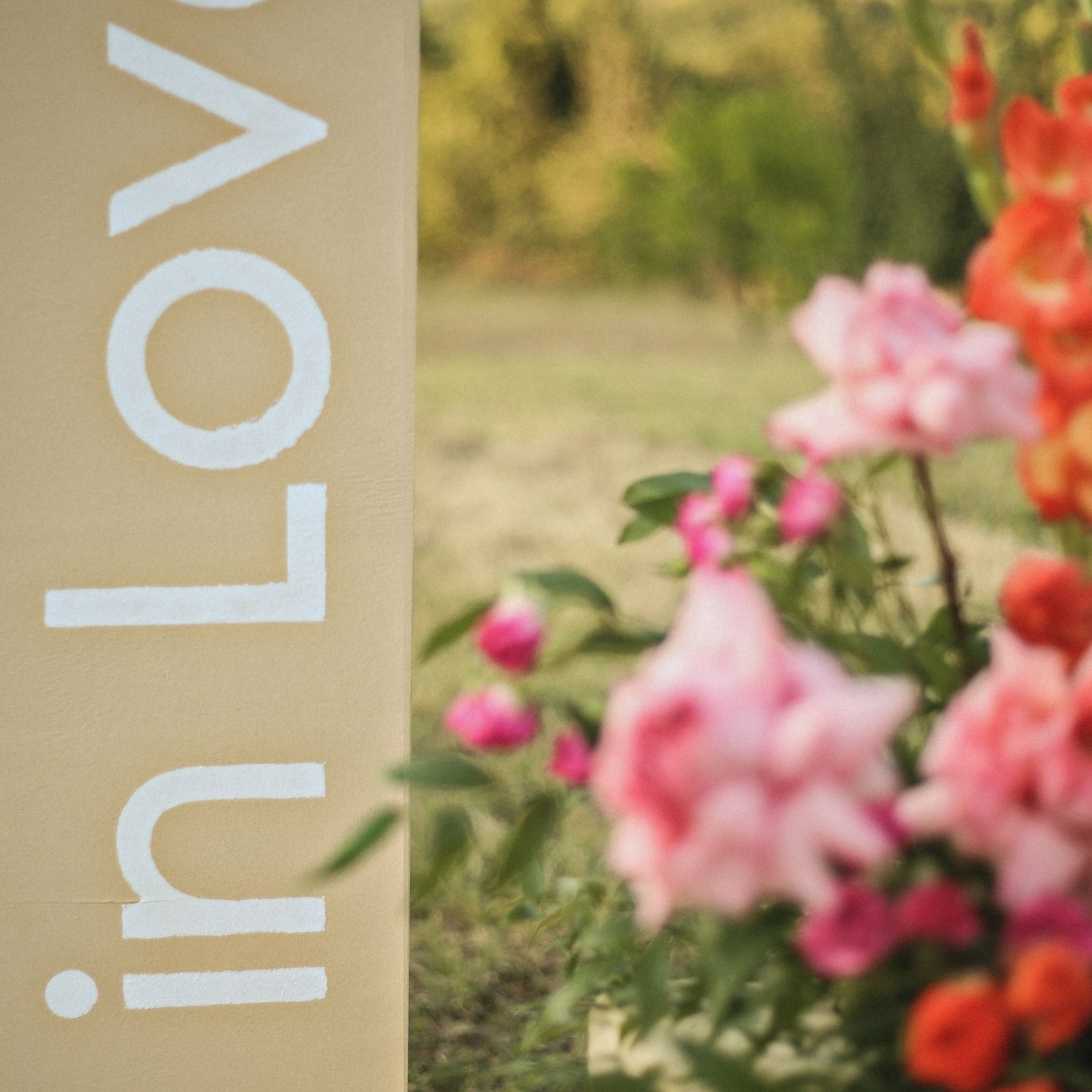 Огранизация свадьбы в Крыму