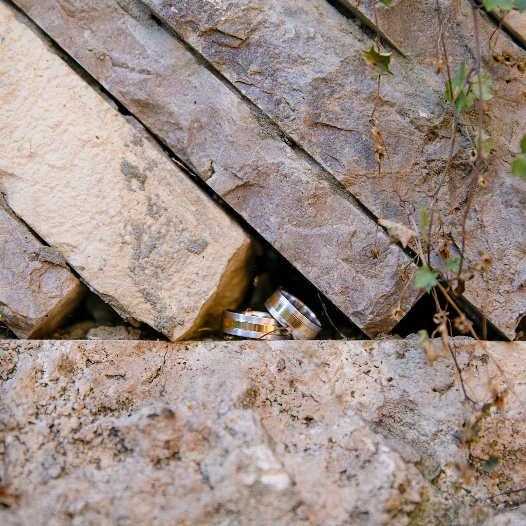 Контакты. Свадебный и семейный фотограф в Калуге Александра Борис