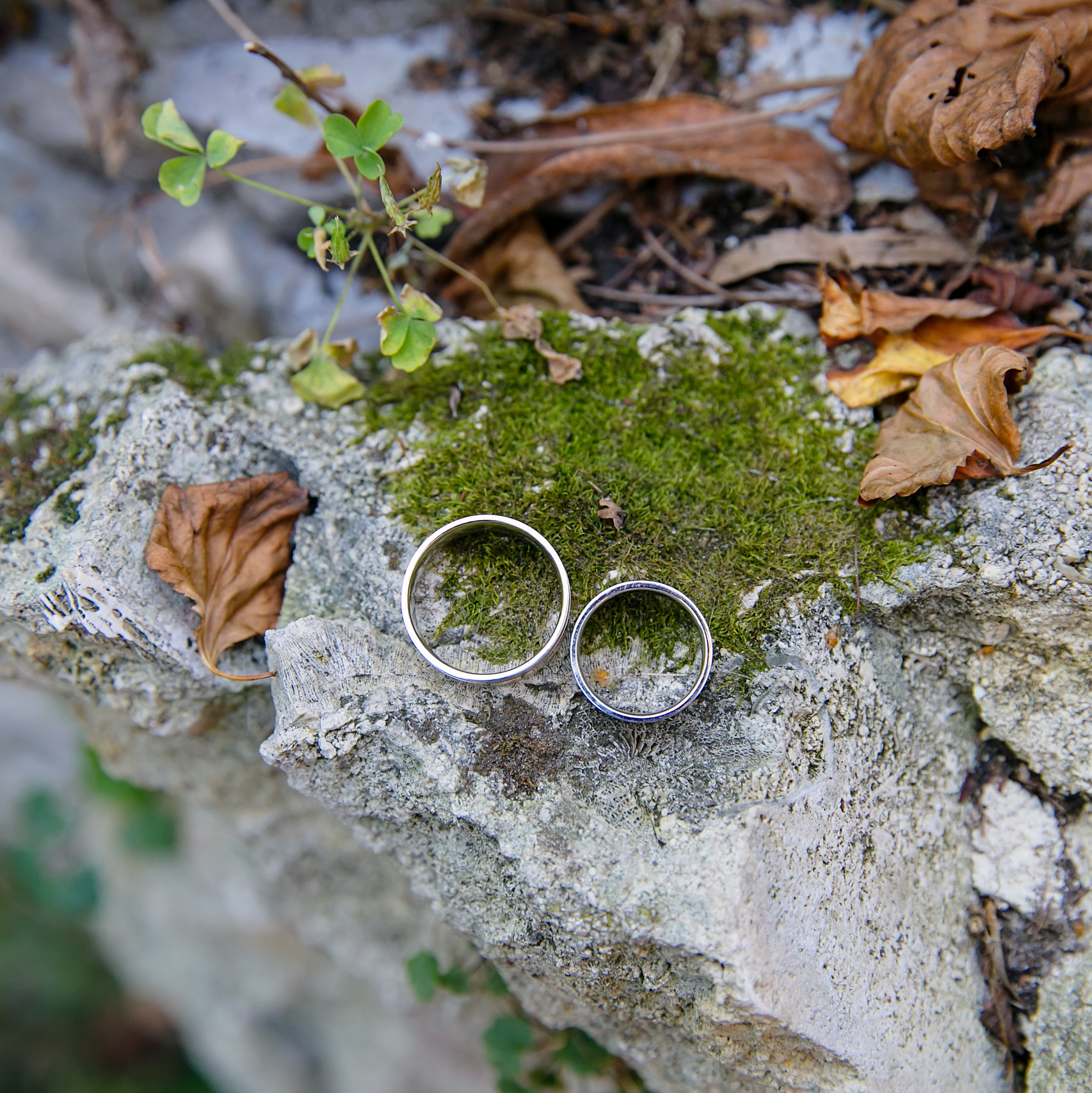 Контакты. Свадебный и семейный фотограф в Калуге Александра Борис