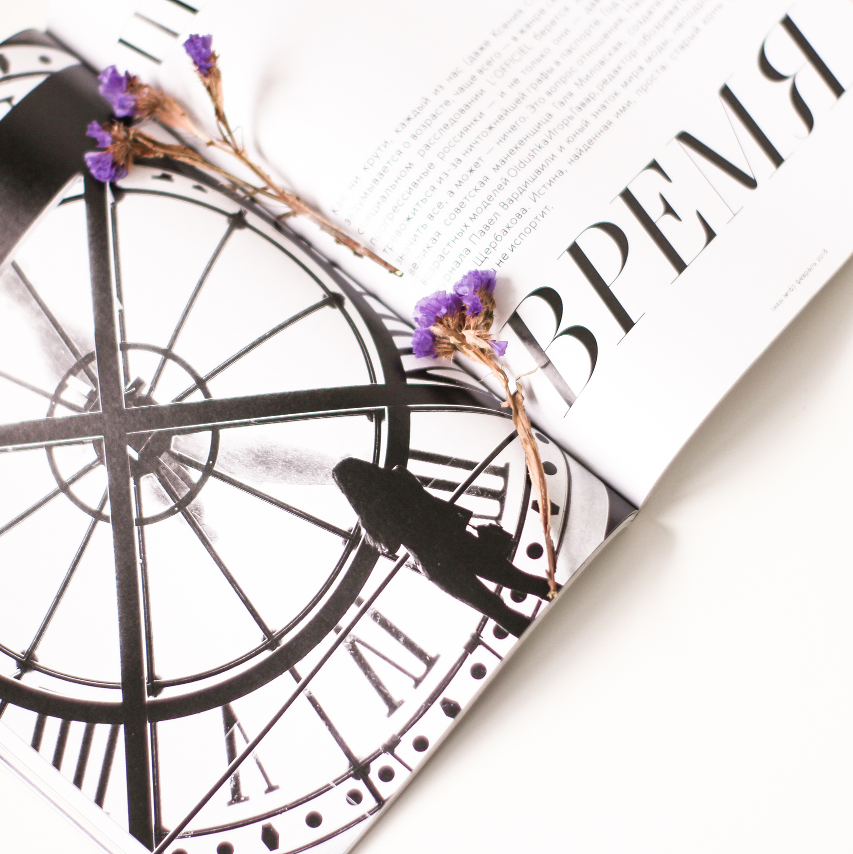 Визуал. Визуализатор | Контент-фотограф Хоршева Анастасия