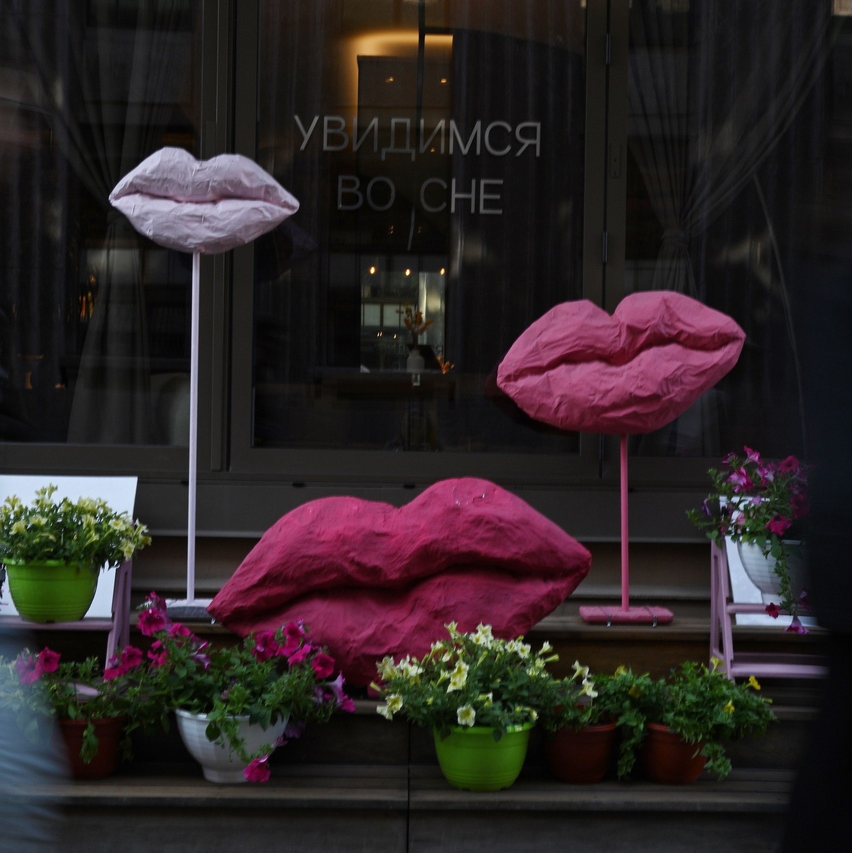 Серии и Проекты. Катерина Михеева