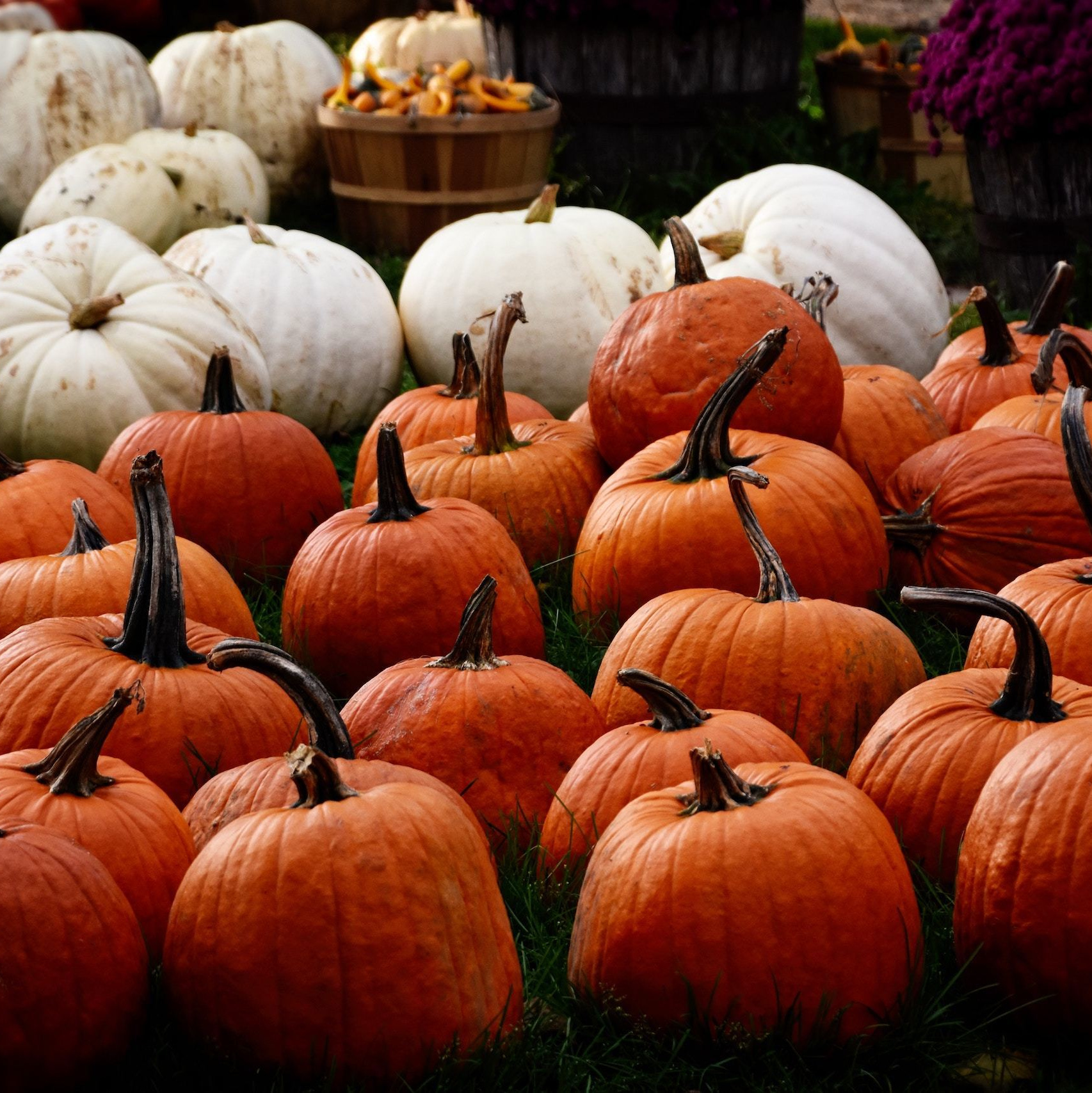 Фотограф Александр Цветков