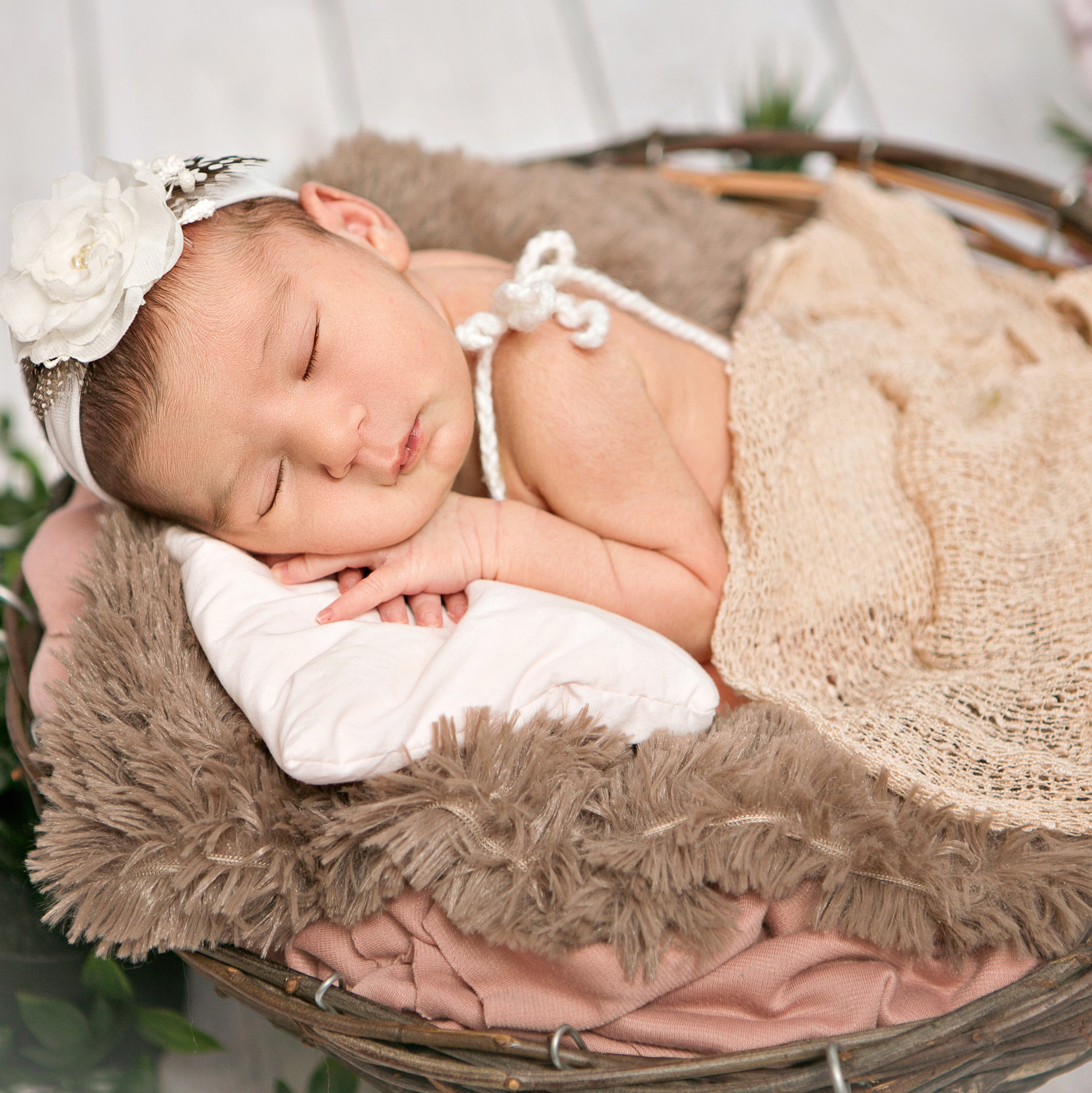 Услуги и цены. Семейный, детский, newborn фотограф Москва,Московская обл Алла Риэр