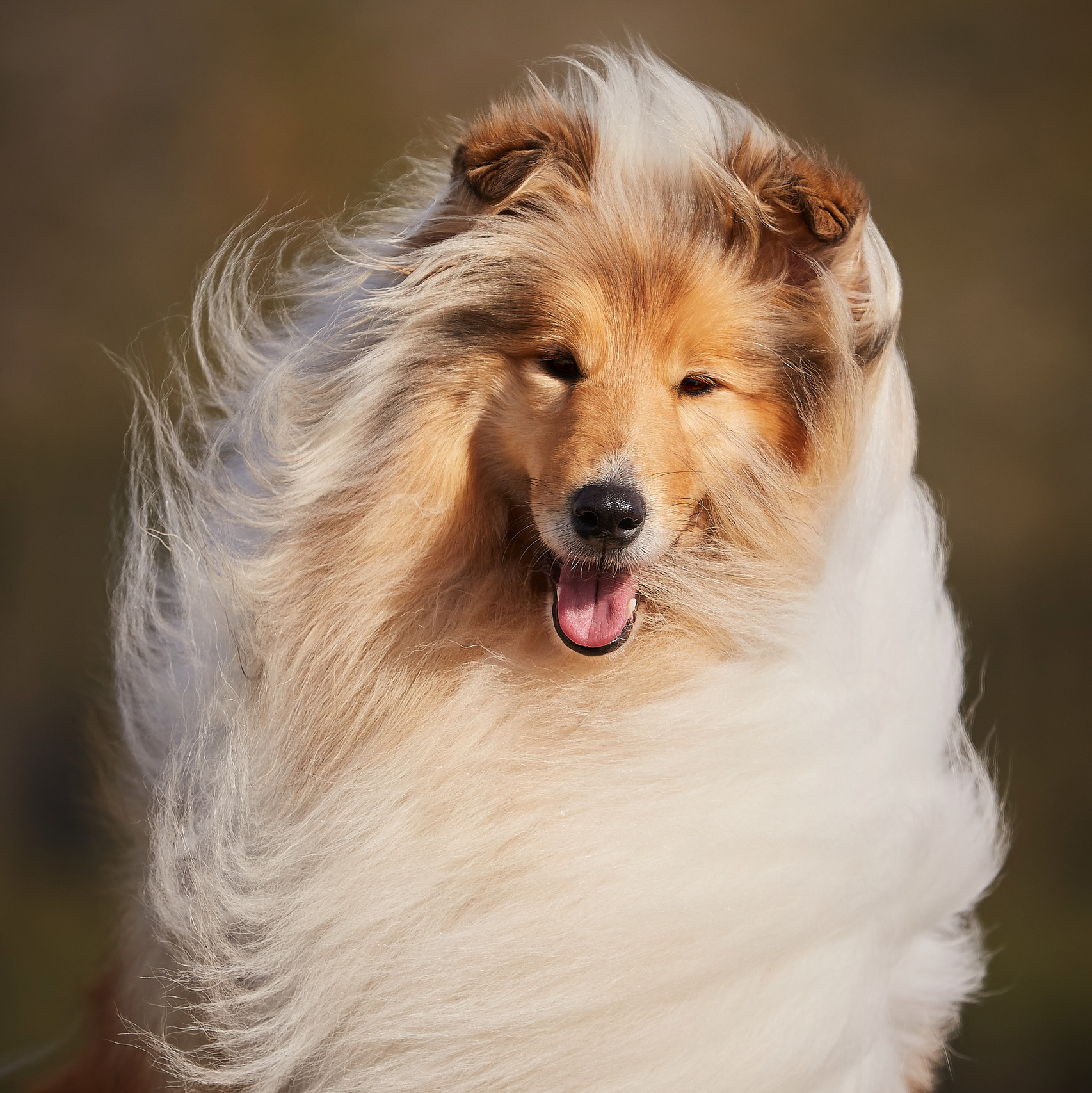 Кандалакша, Кольский п-в