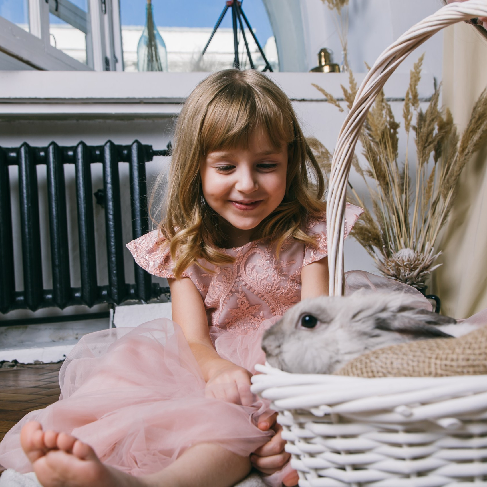 Фотосессия с животными: мой опыт. Фотограф в Самаре / Олеся Широнина