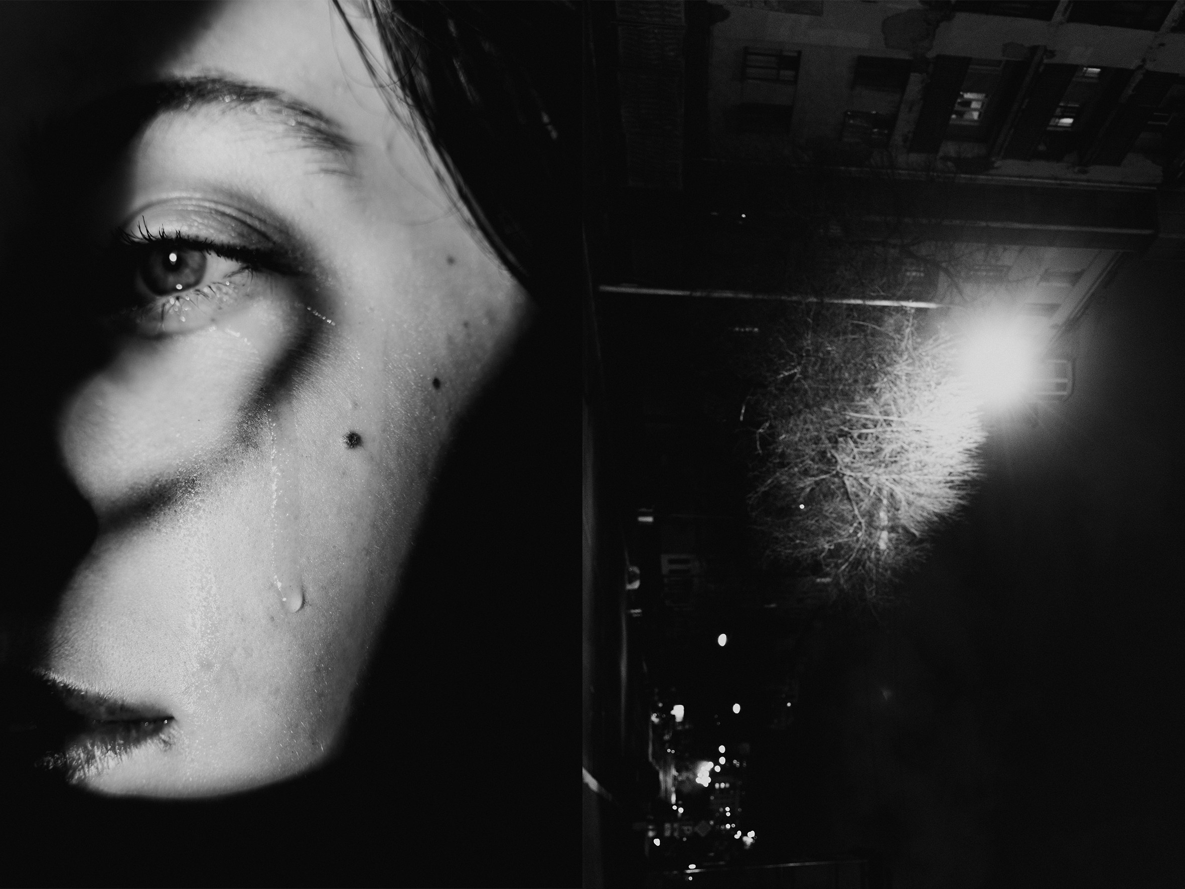 (в процессе) гаврики обрели дом | the woofs have found a home. Анастасия Калинина