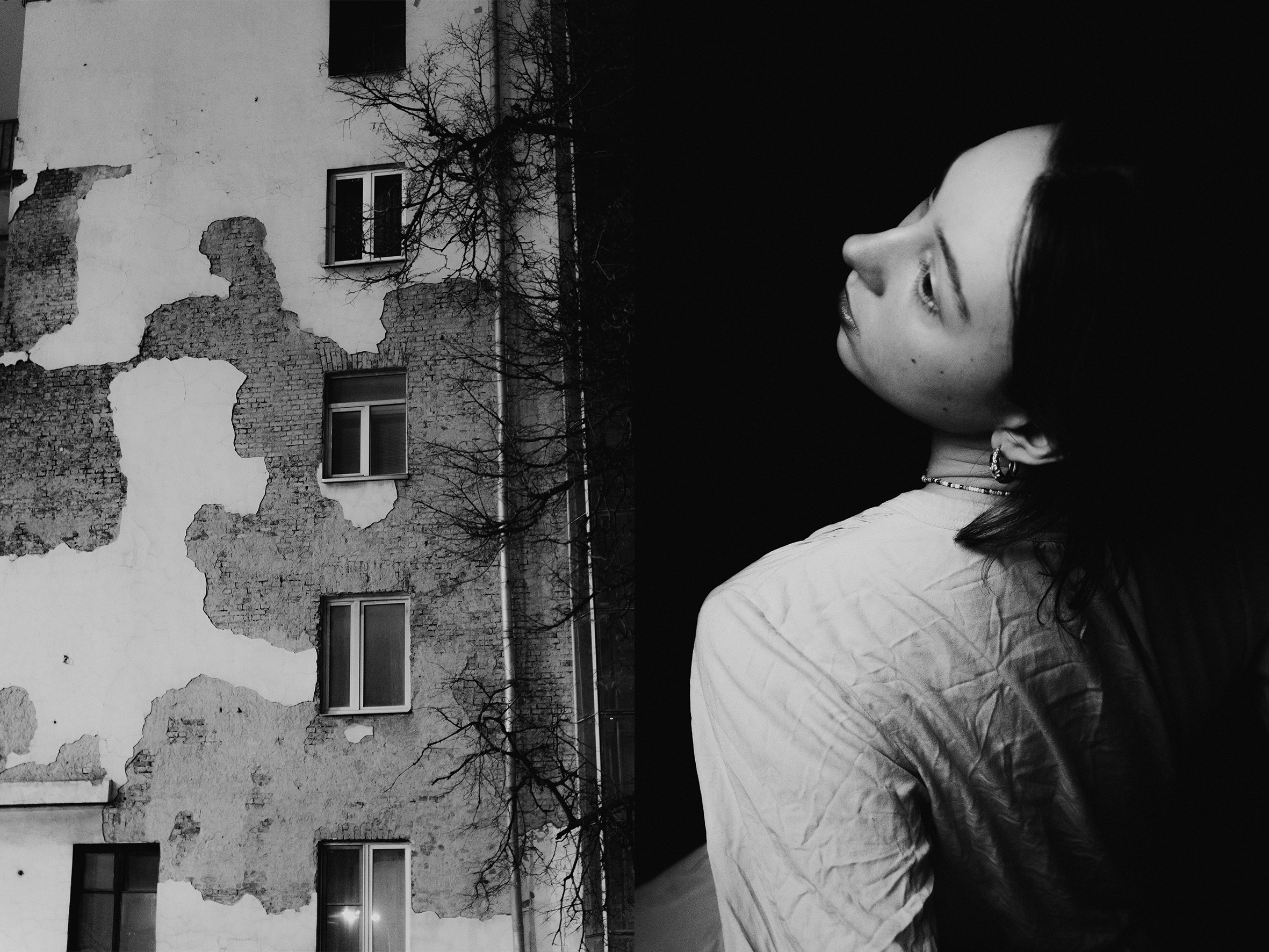 (в процессе) гаврики обрели дом | the woofs have found a home. Анастасия Калинина