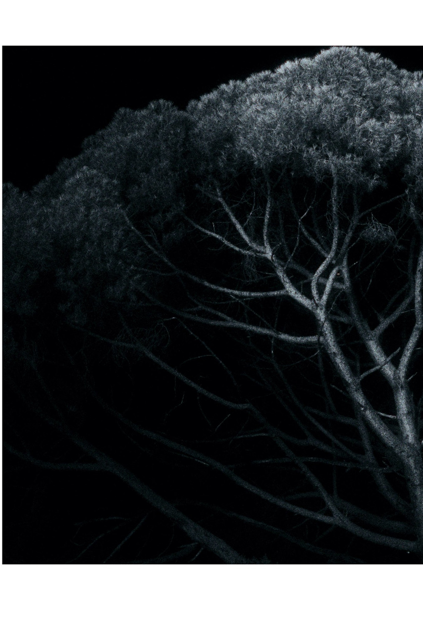 Творческий фотограф. Санкт-Петербург