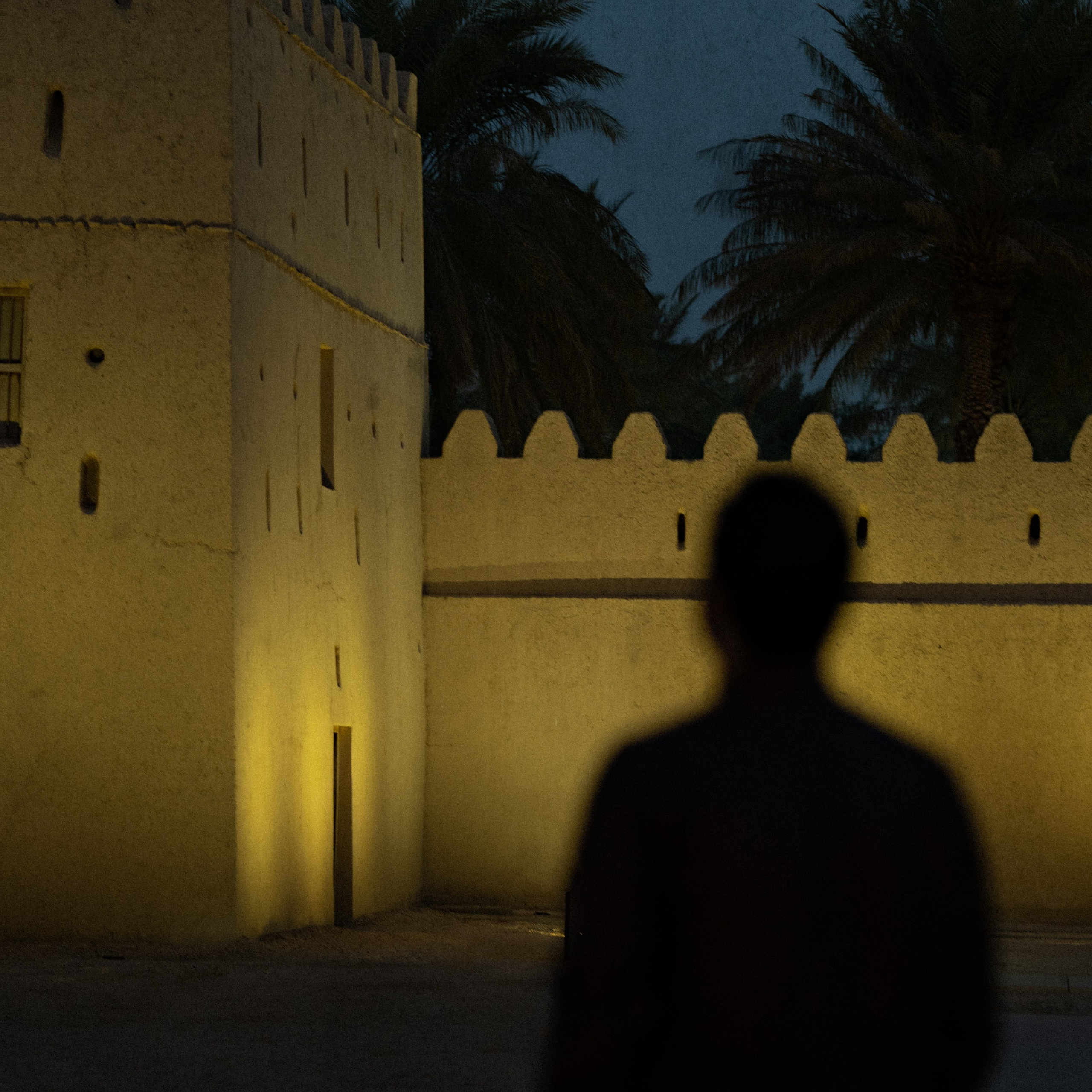 ОАЭ. Фотохудожник и винтажный стилист sudarynya.svetlana