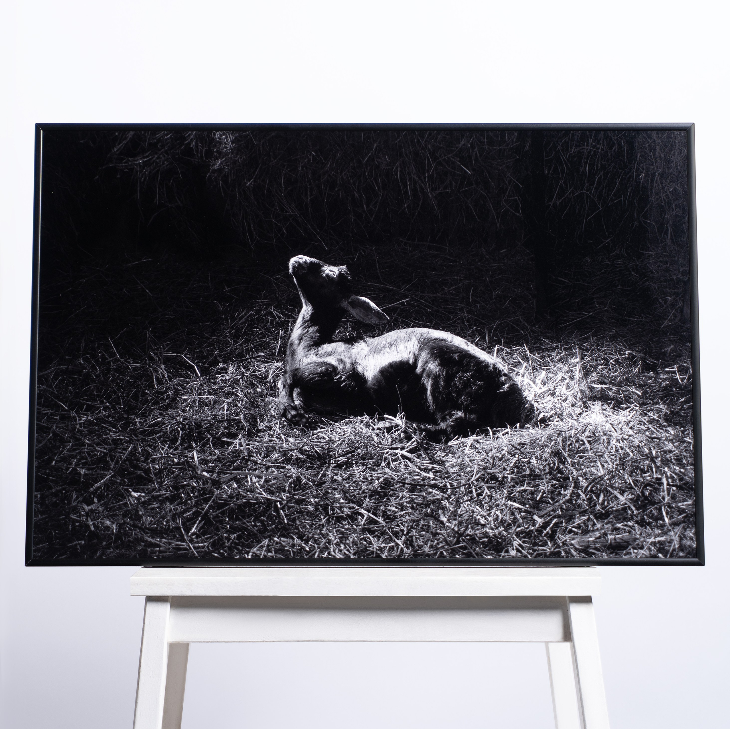 Полиграфия. Фотограф Гундров Эдуард