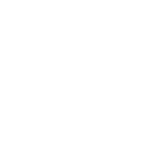 andreapunch.wfolio.pro