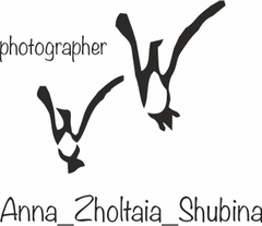 annashubina.wfolio.pro