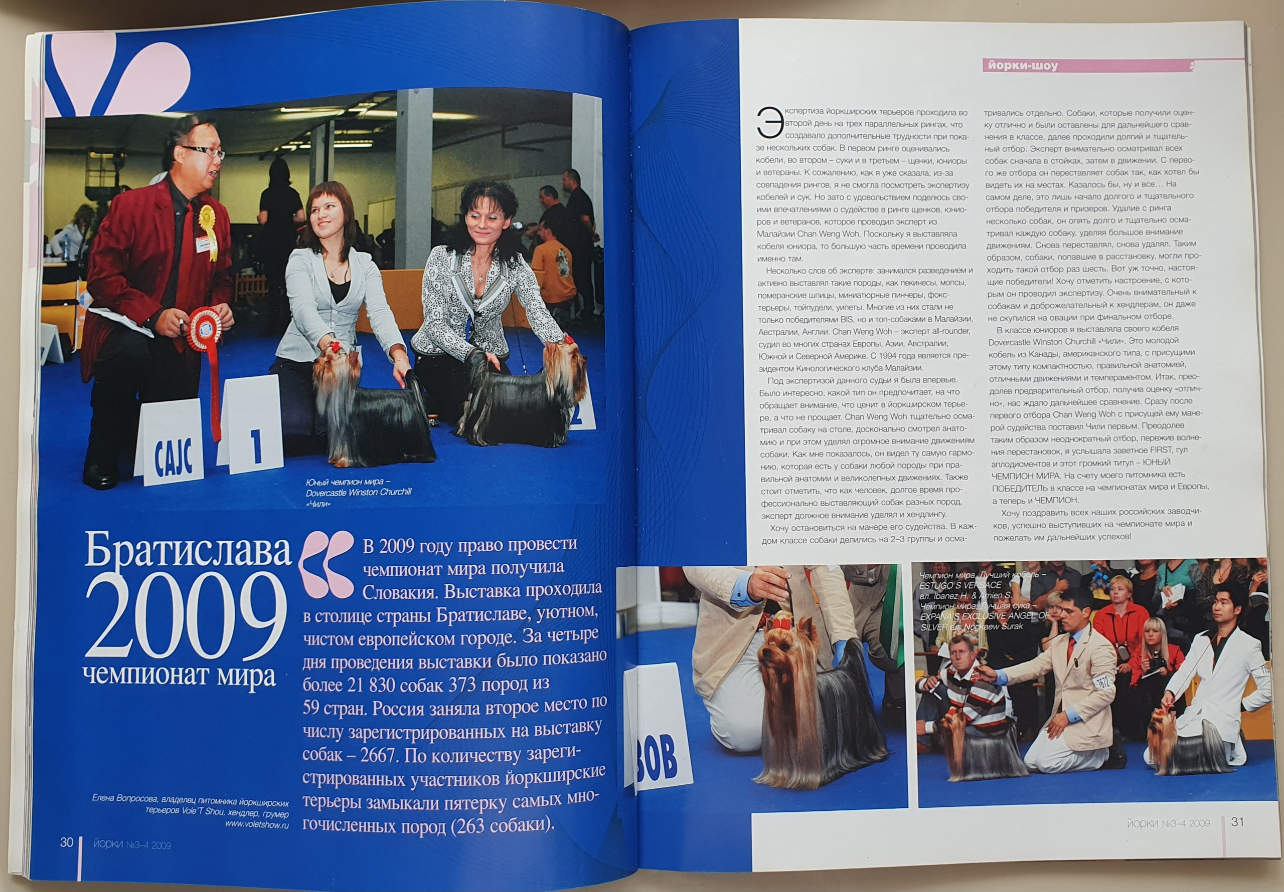 Йоркширский терьер. О нас. Питомник Воле'Т Шоу Vole'T Shou. Йоркширский терьер — питомник йоркширских терьеров Vole'T Shou