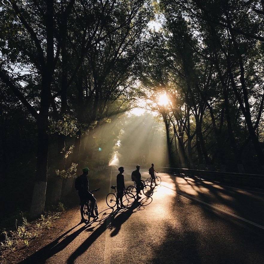 Курс по мобильной фотографии «ФОТОЛОВИСТА»