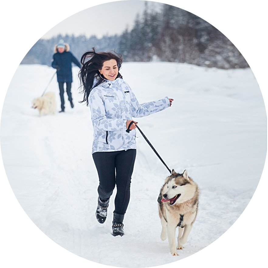 Катание на хаски в Спб