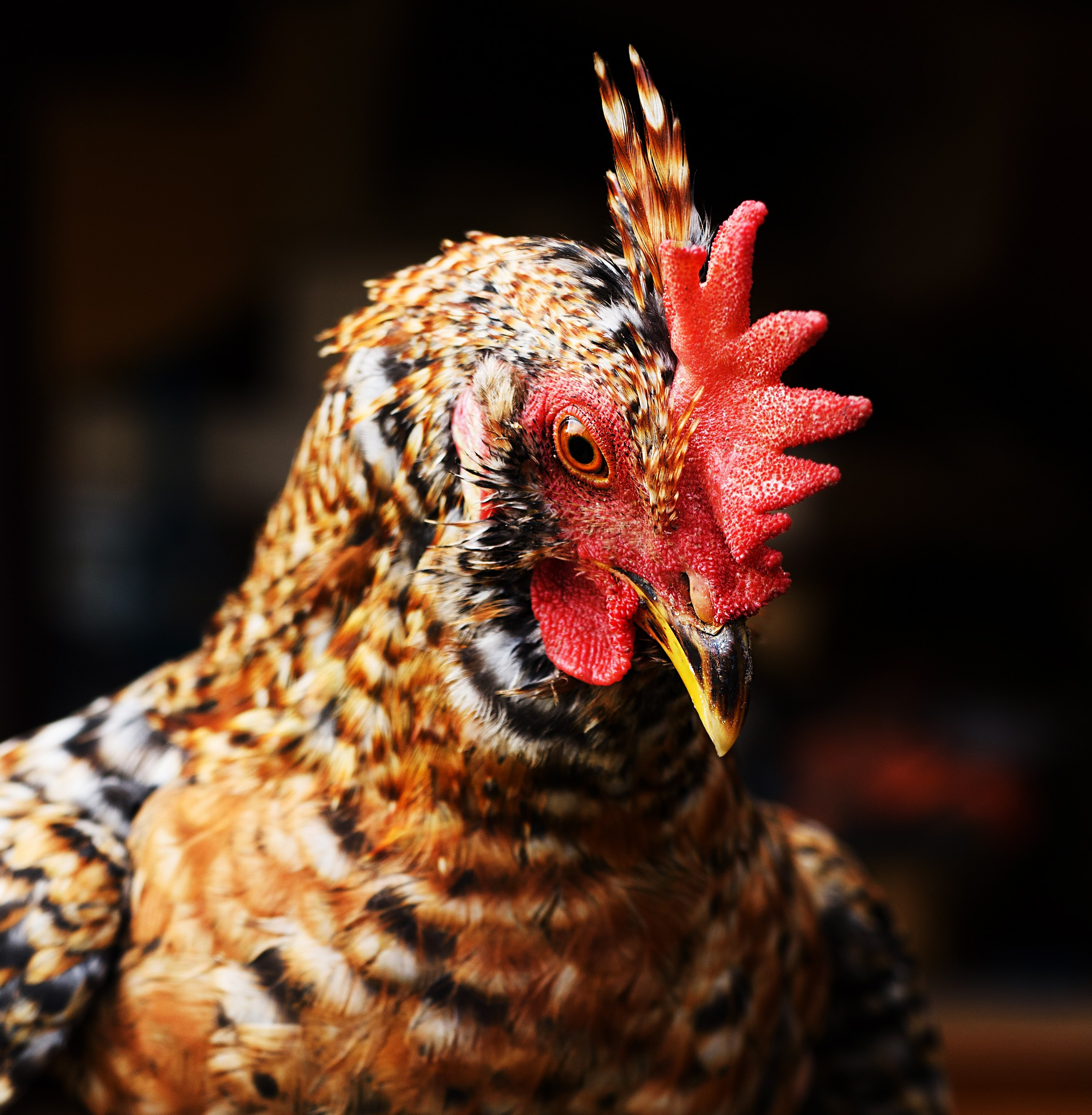 Fashion Photographer Liudmila Kuzmnko