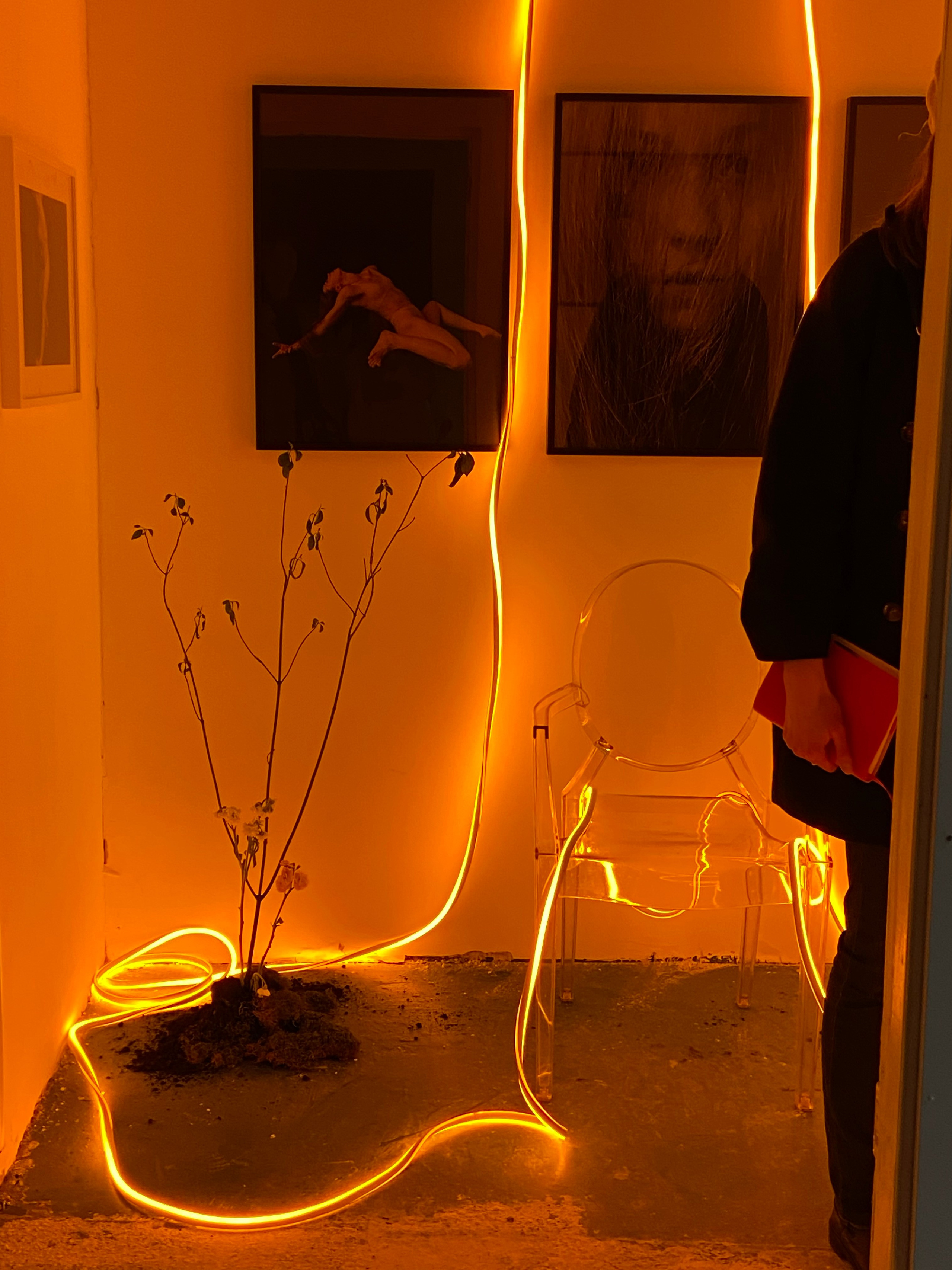 My installation. Smirnovatais