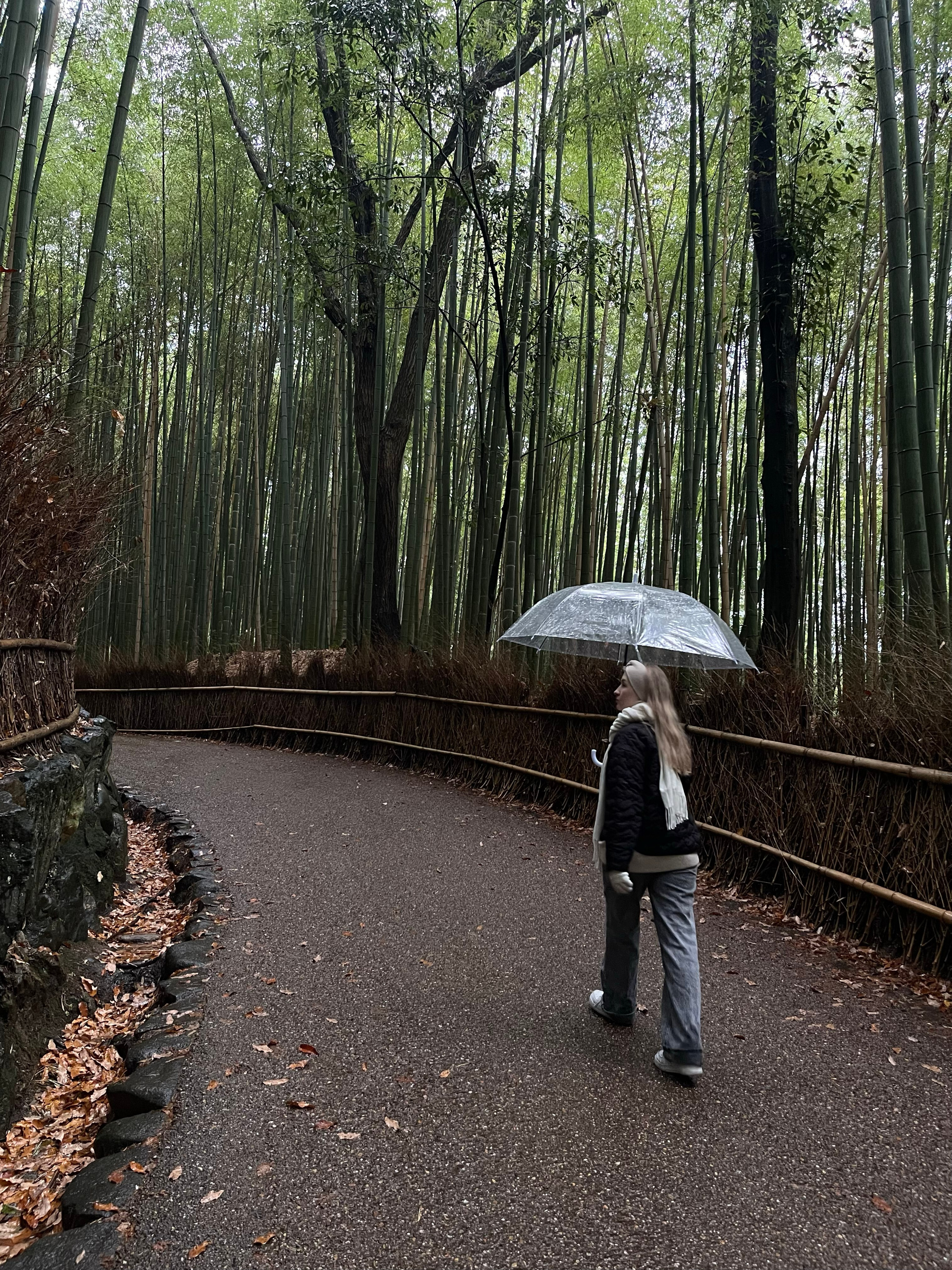 Kyoto. Фотограф Алина Диева Москва | Токио