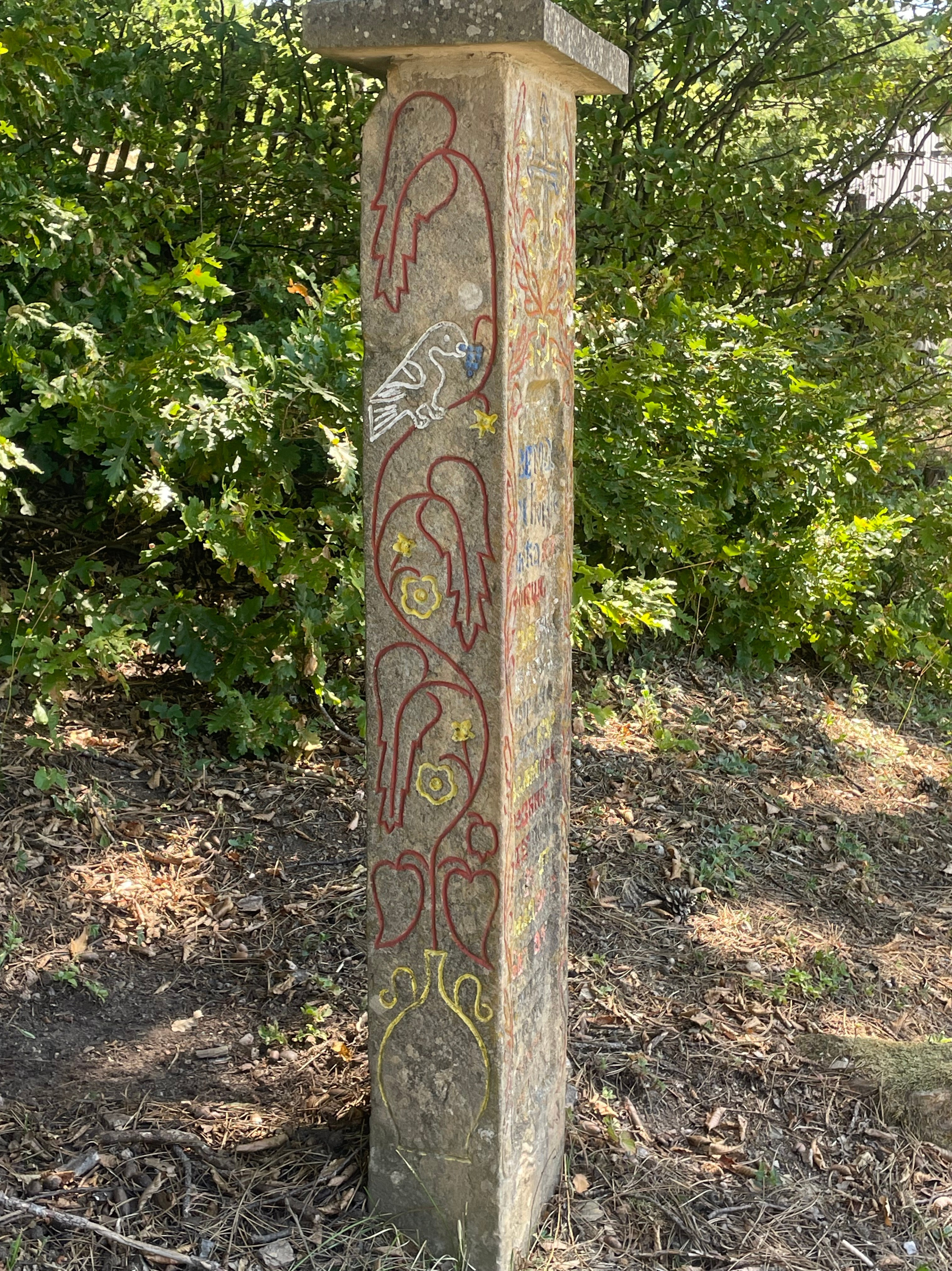 Наталия Бабинцева — ВЫДЕЛЕННАЯ ТЕРРИТОРИЯ: прогулки с N