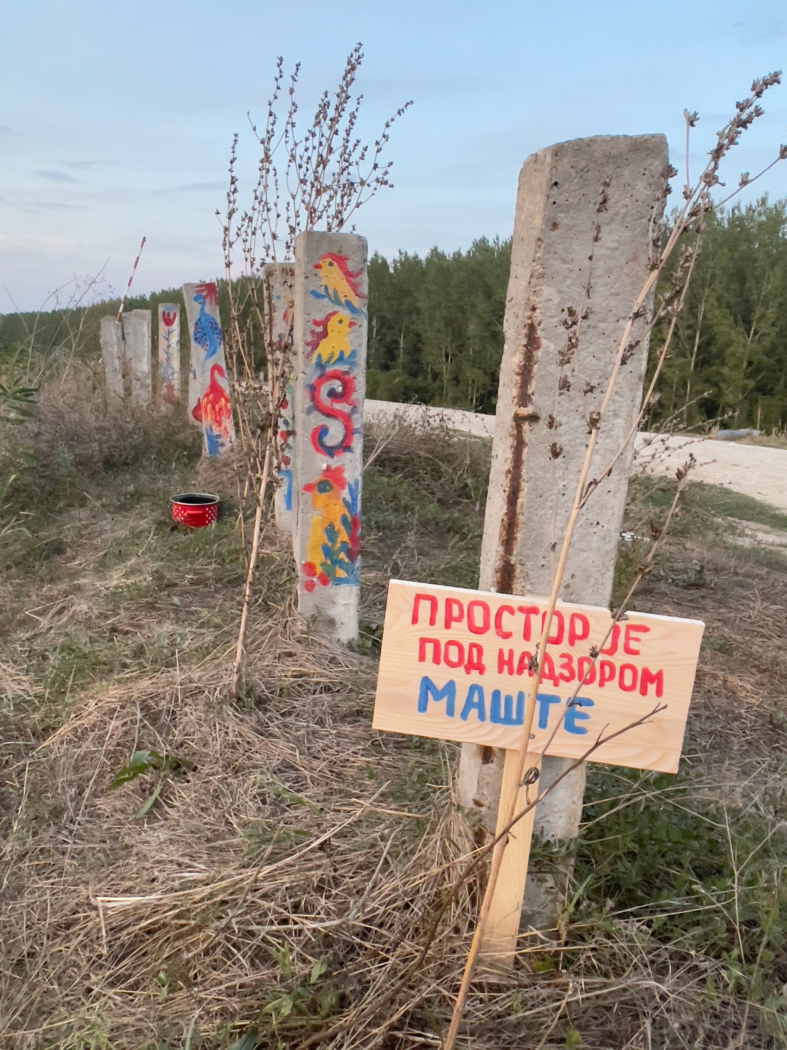 Наталия Бабинцева — ВЫДЕЛЕННАЯ ТЕРРИТОРИЯ: прогулки с N